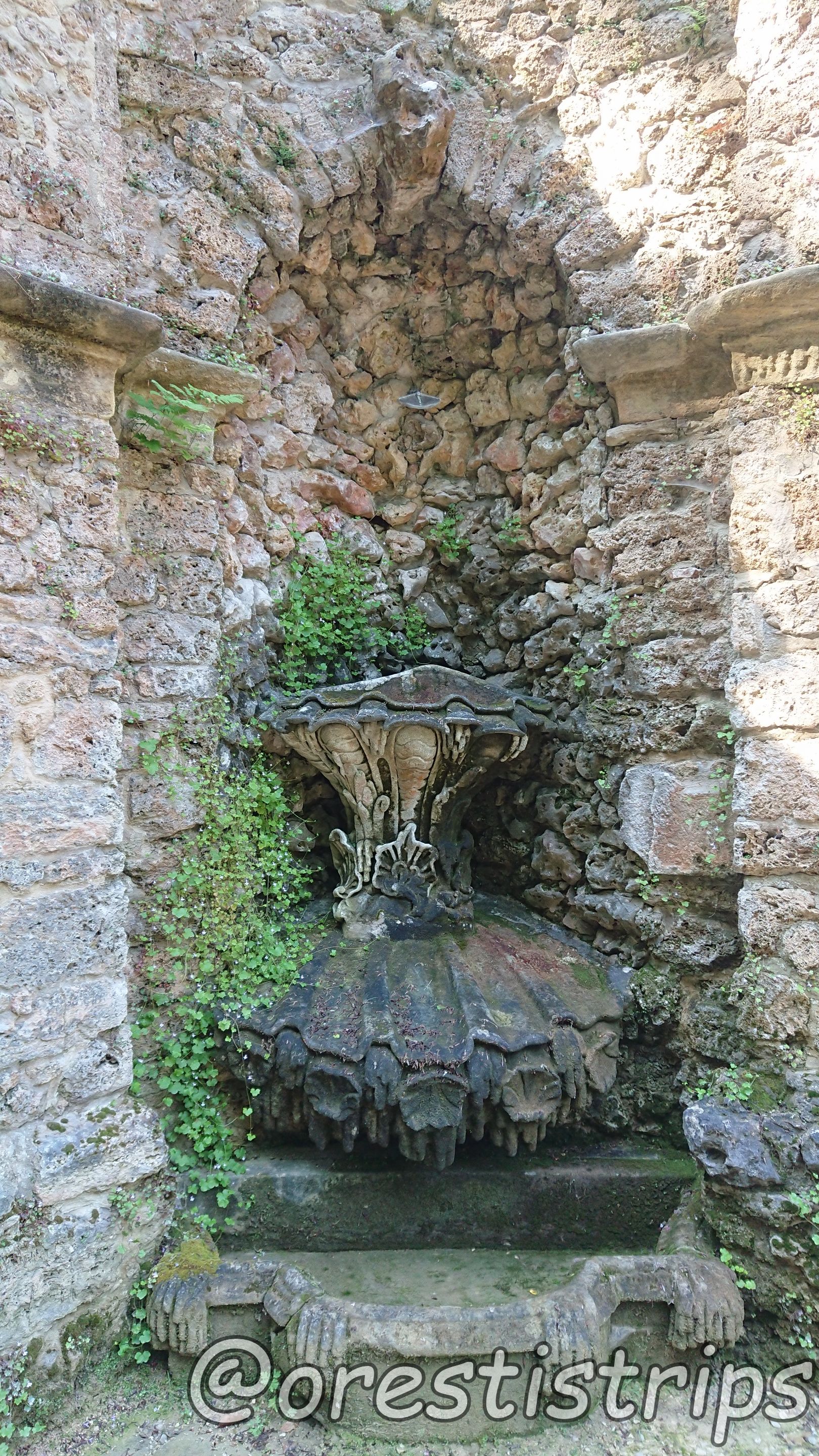 DSC_0165.JPG