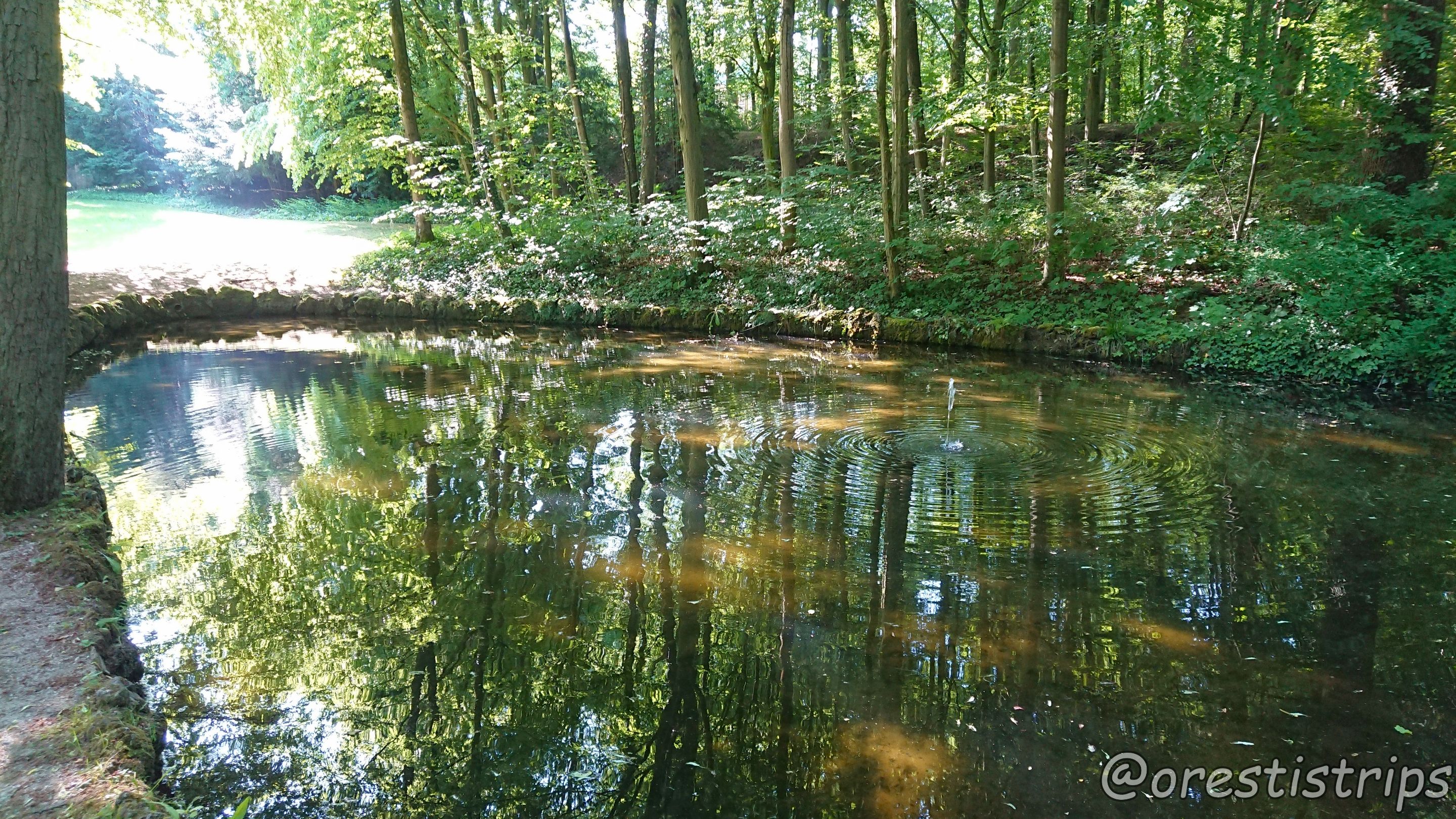 DSC_0138.JPG