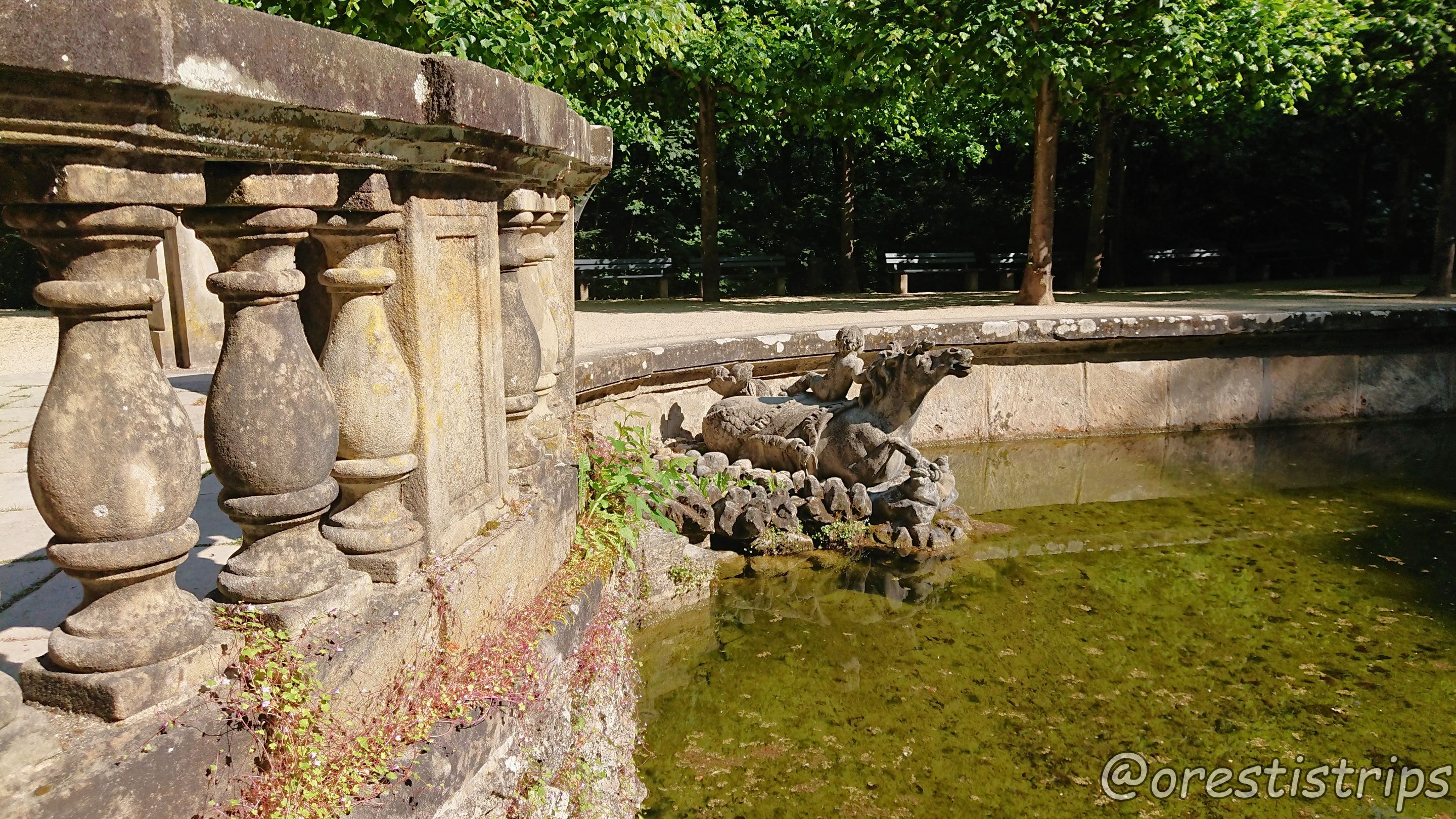 DSC_0159.JPG