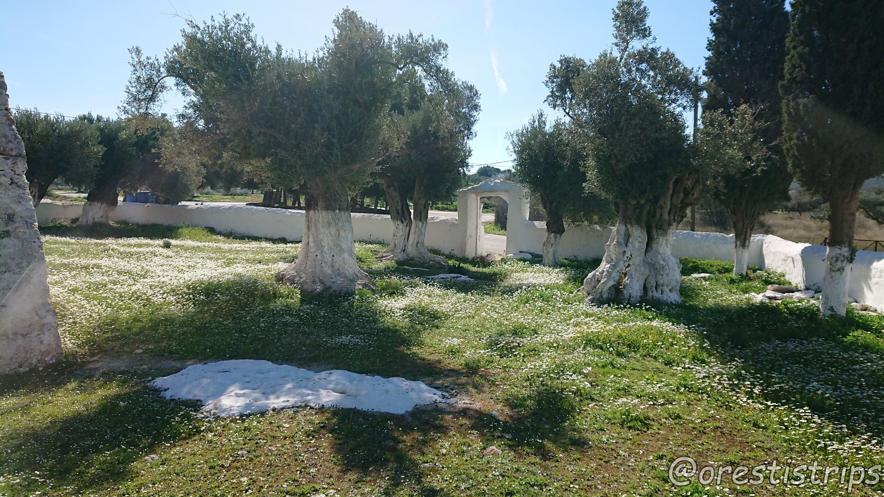 DSC_0083.JPG