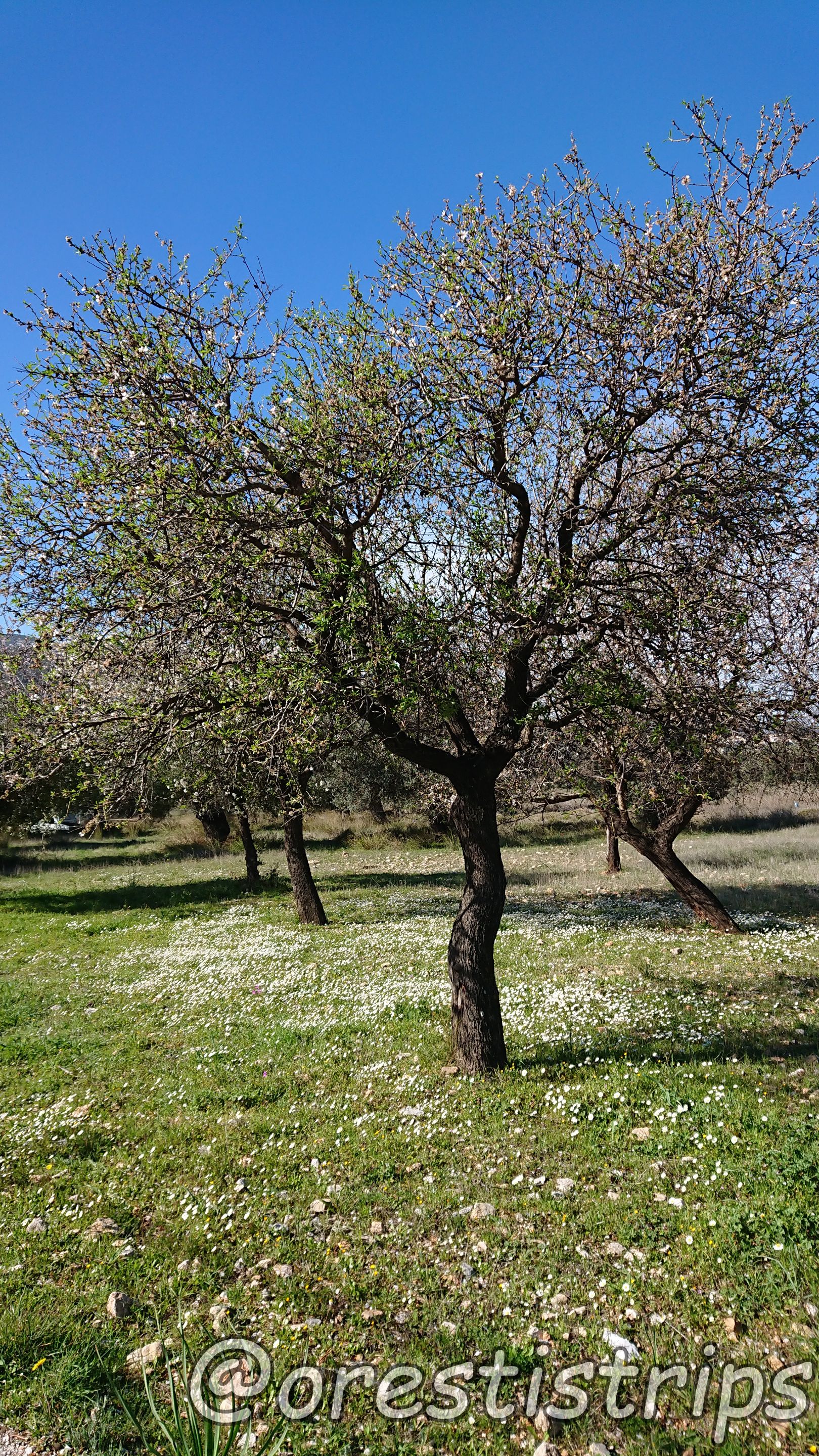 DSC_0062.JPG