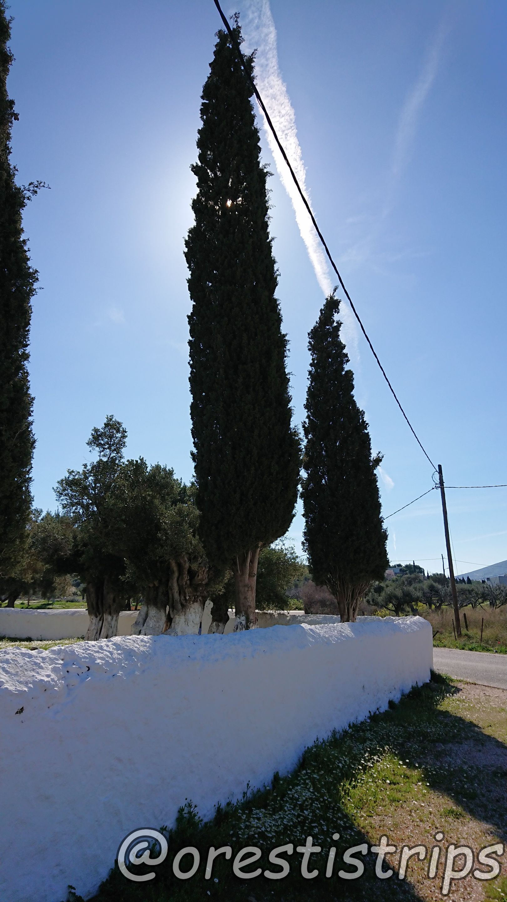 DSC_0088.JPG