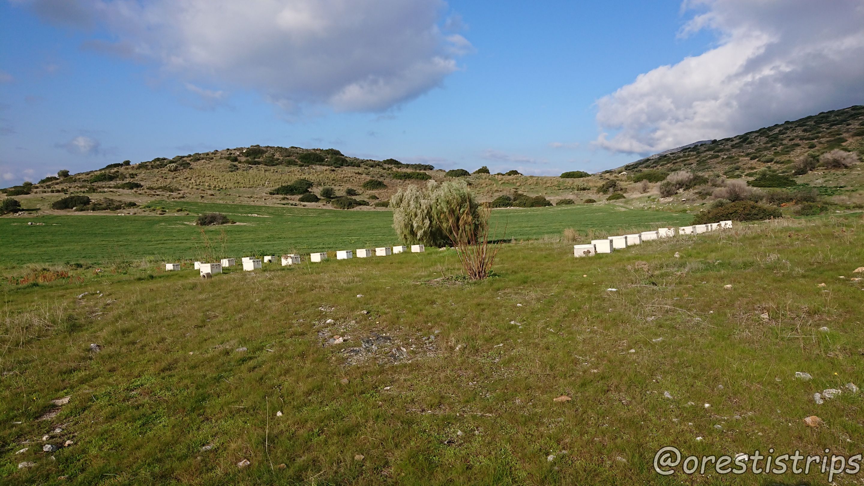 DSC_0022.JPG