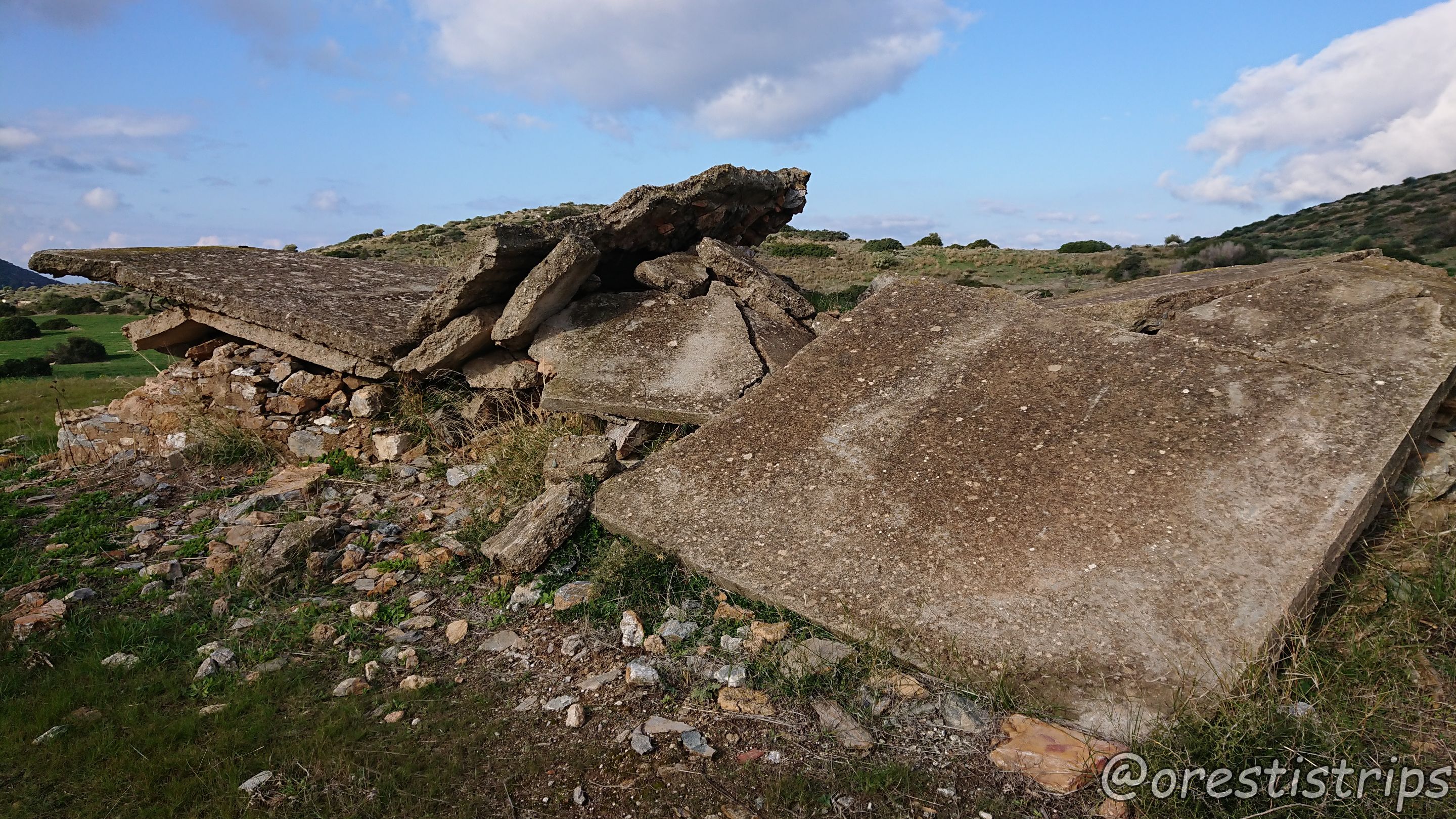 DSC_0026.JPG