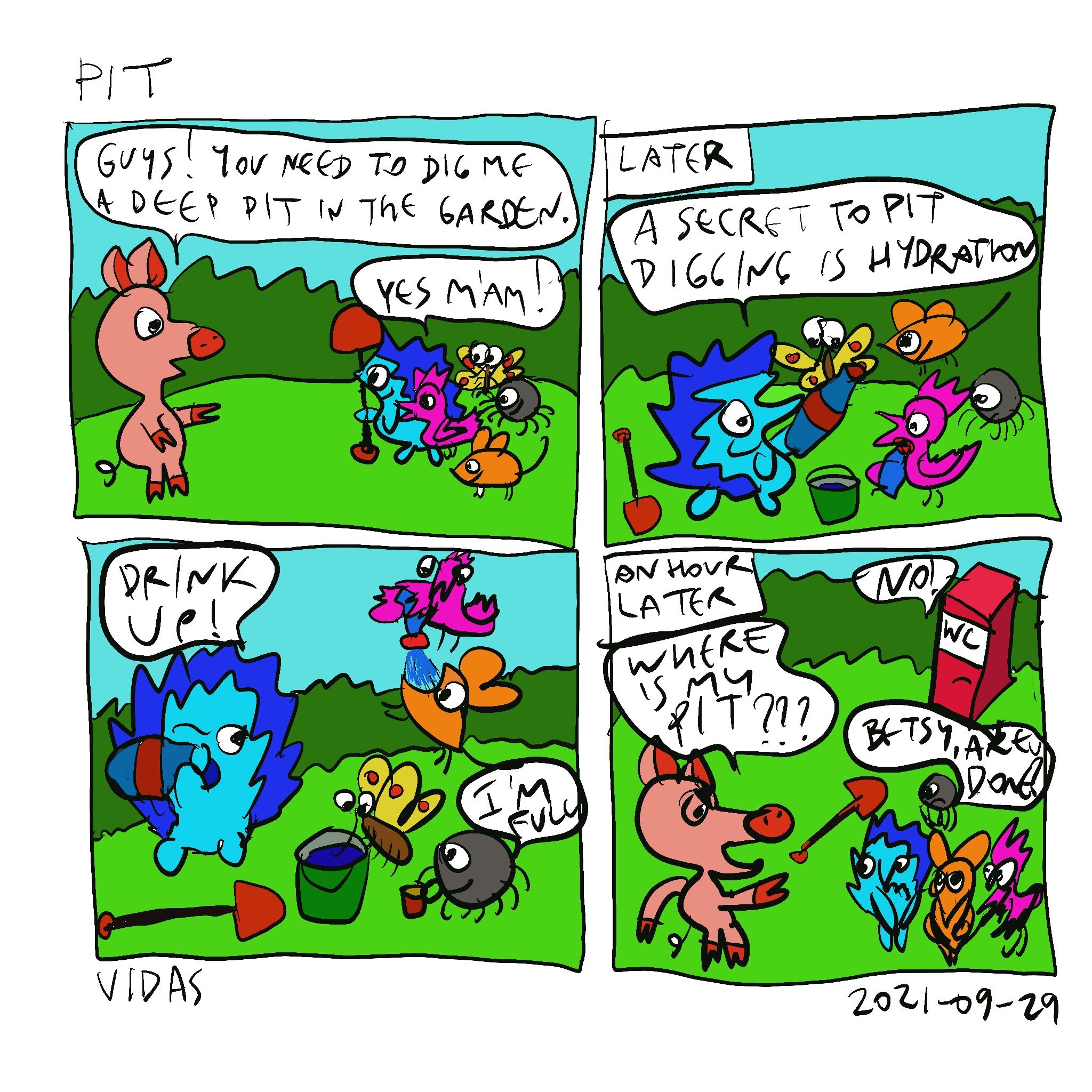 Pit.jpg