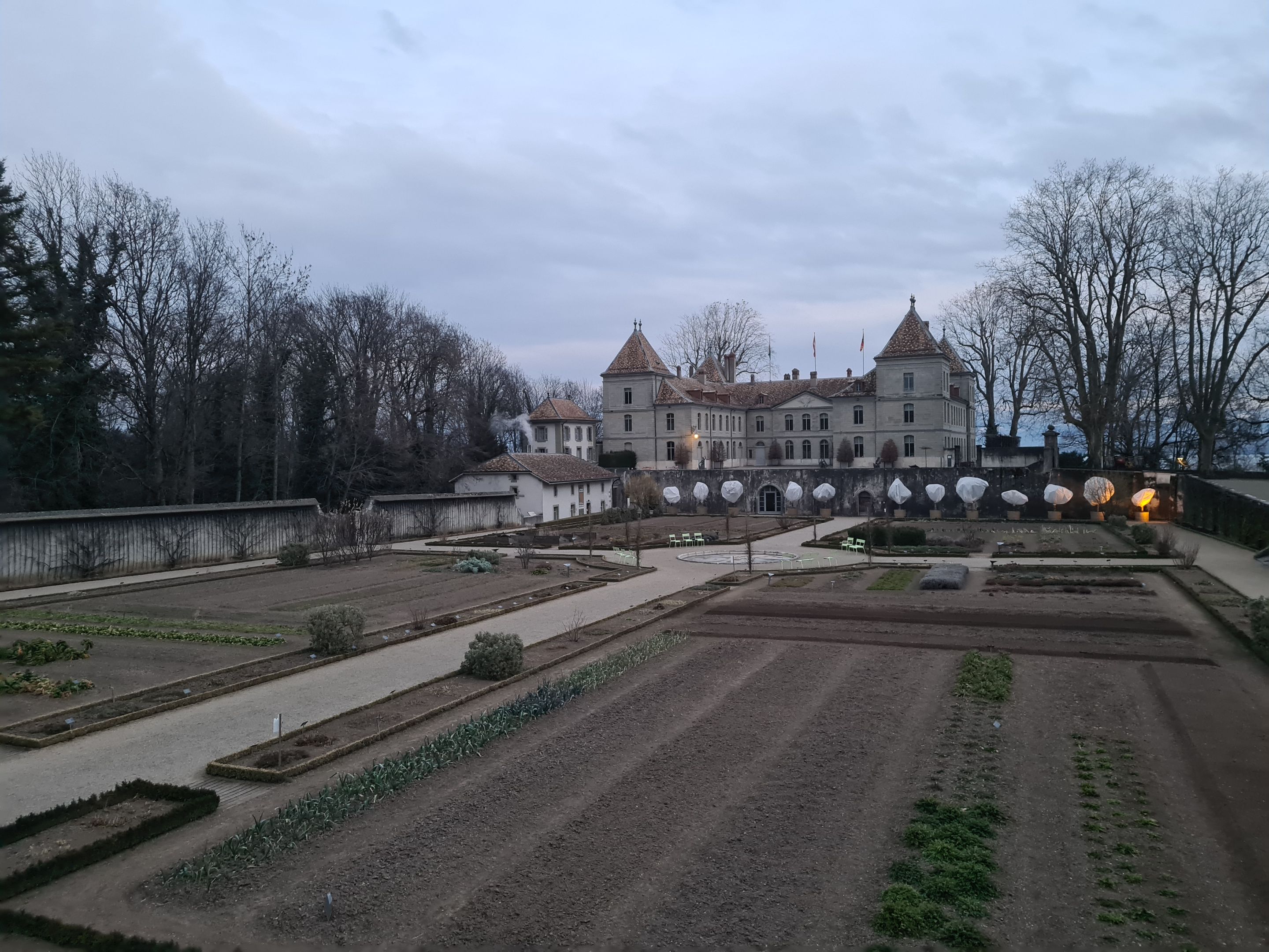 08_20230307_184027.jpg