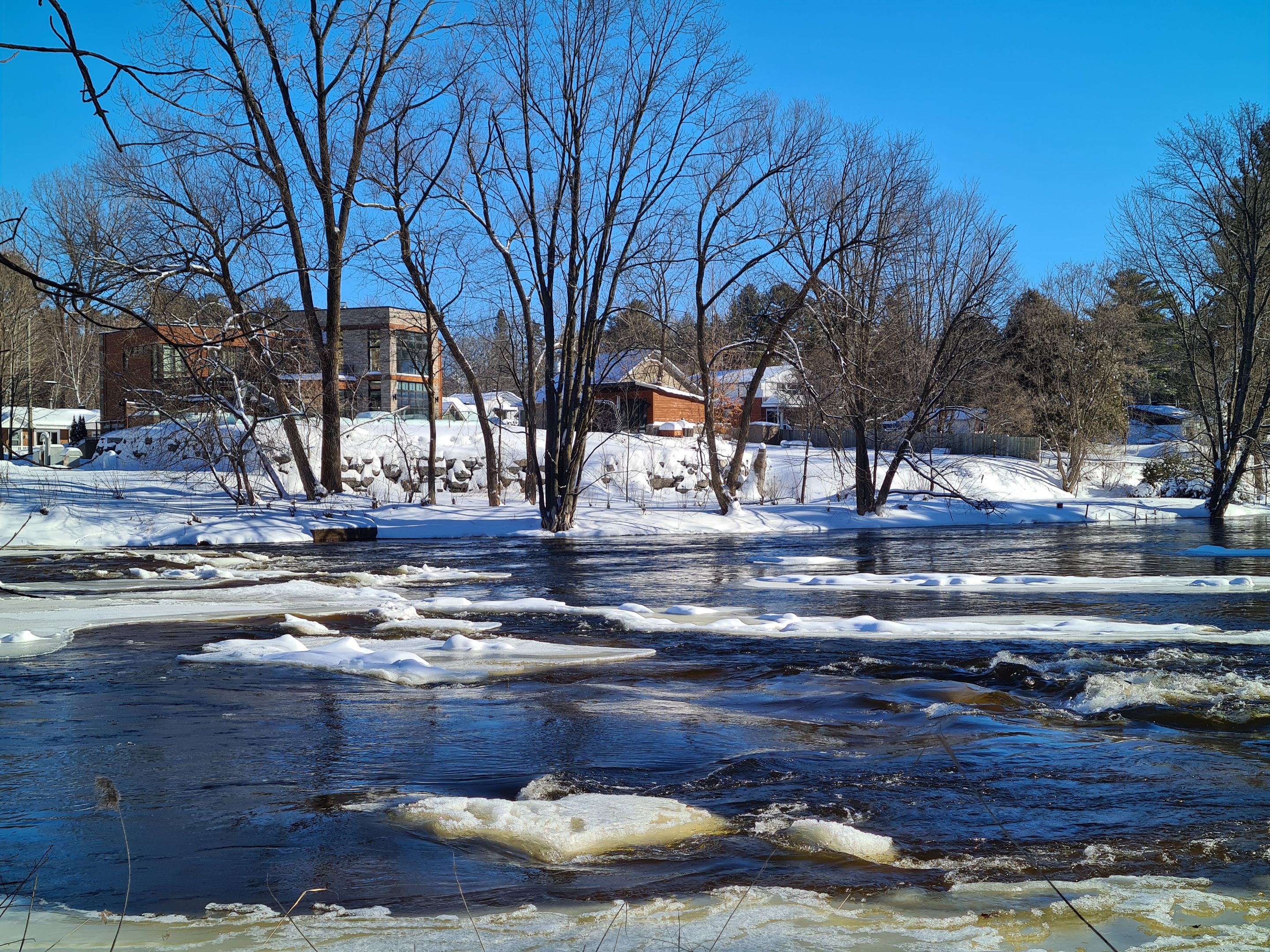 03_20230115_114331.jpg
