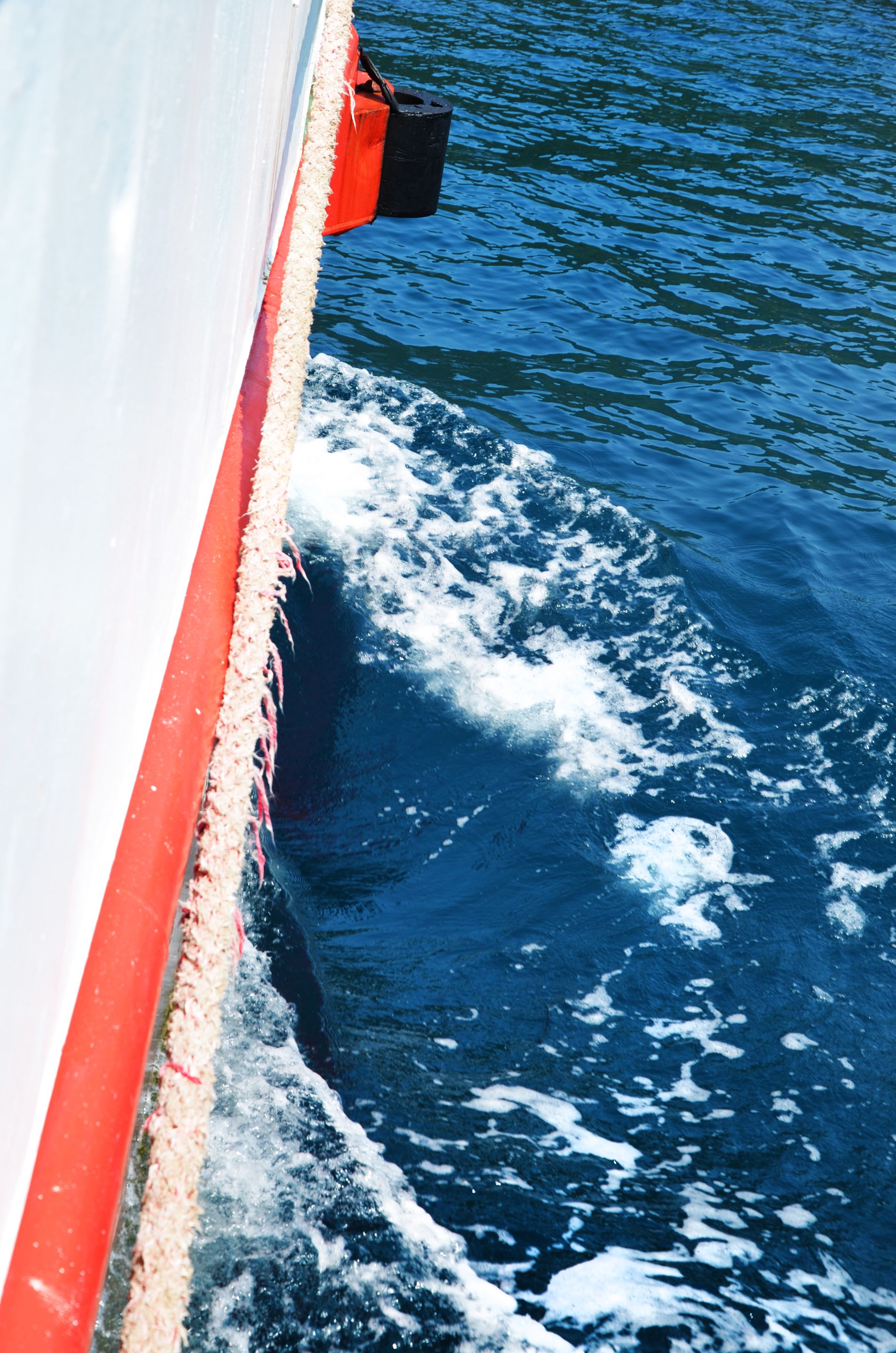 DSC_1031.jpg