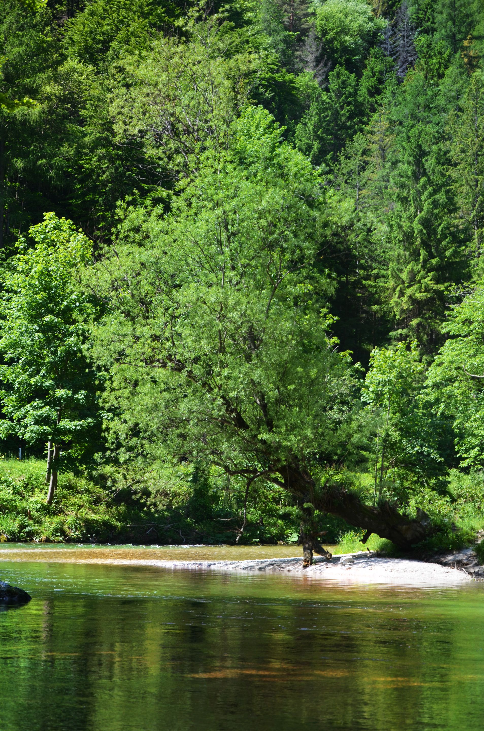 DSC_0928.jpg
