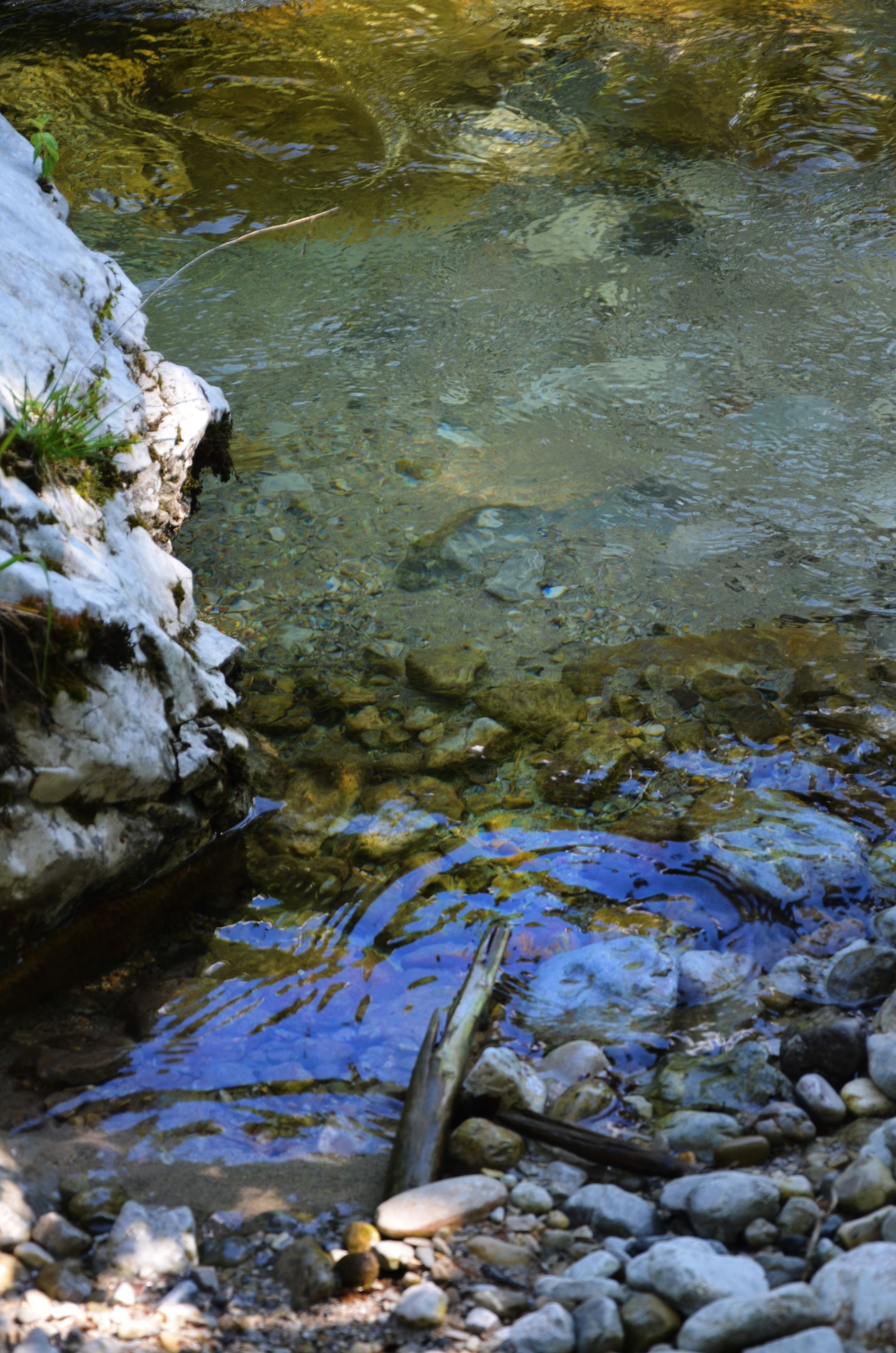 DSC_0949.jpg