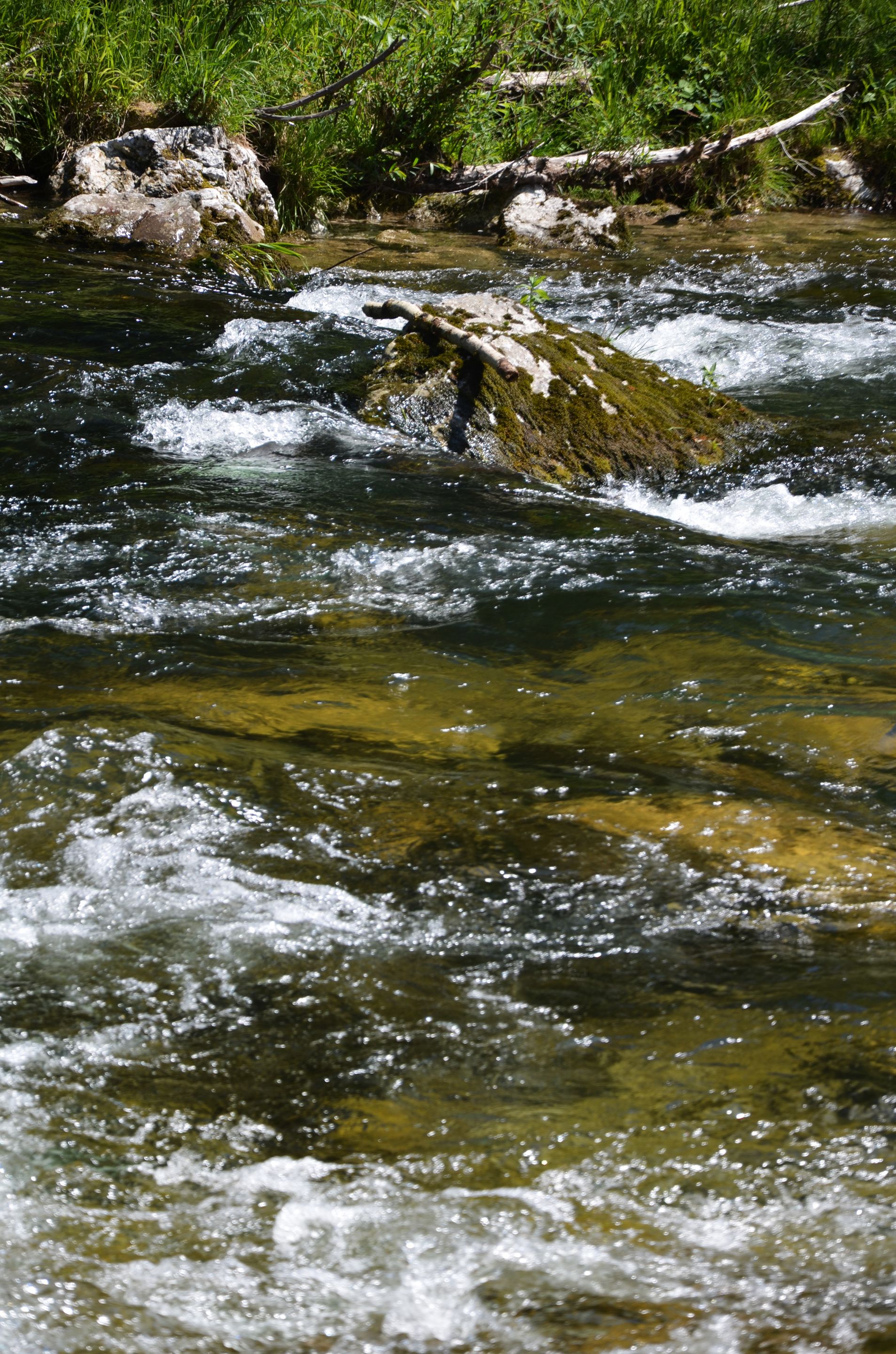 DSC_0958.jpg