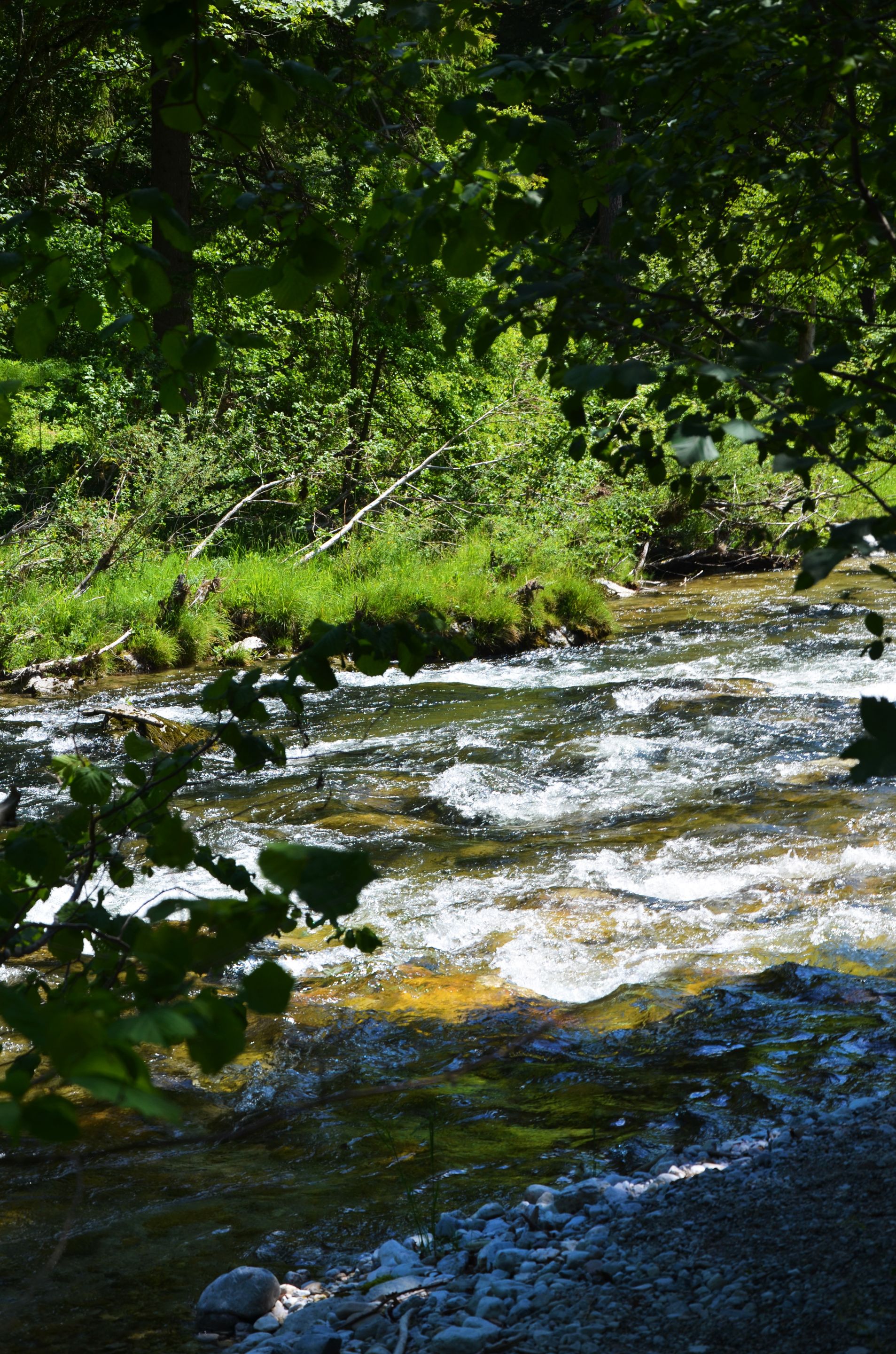 DSC_0948.jpg