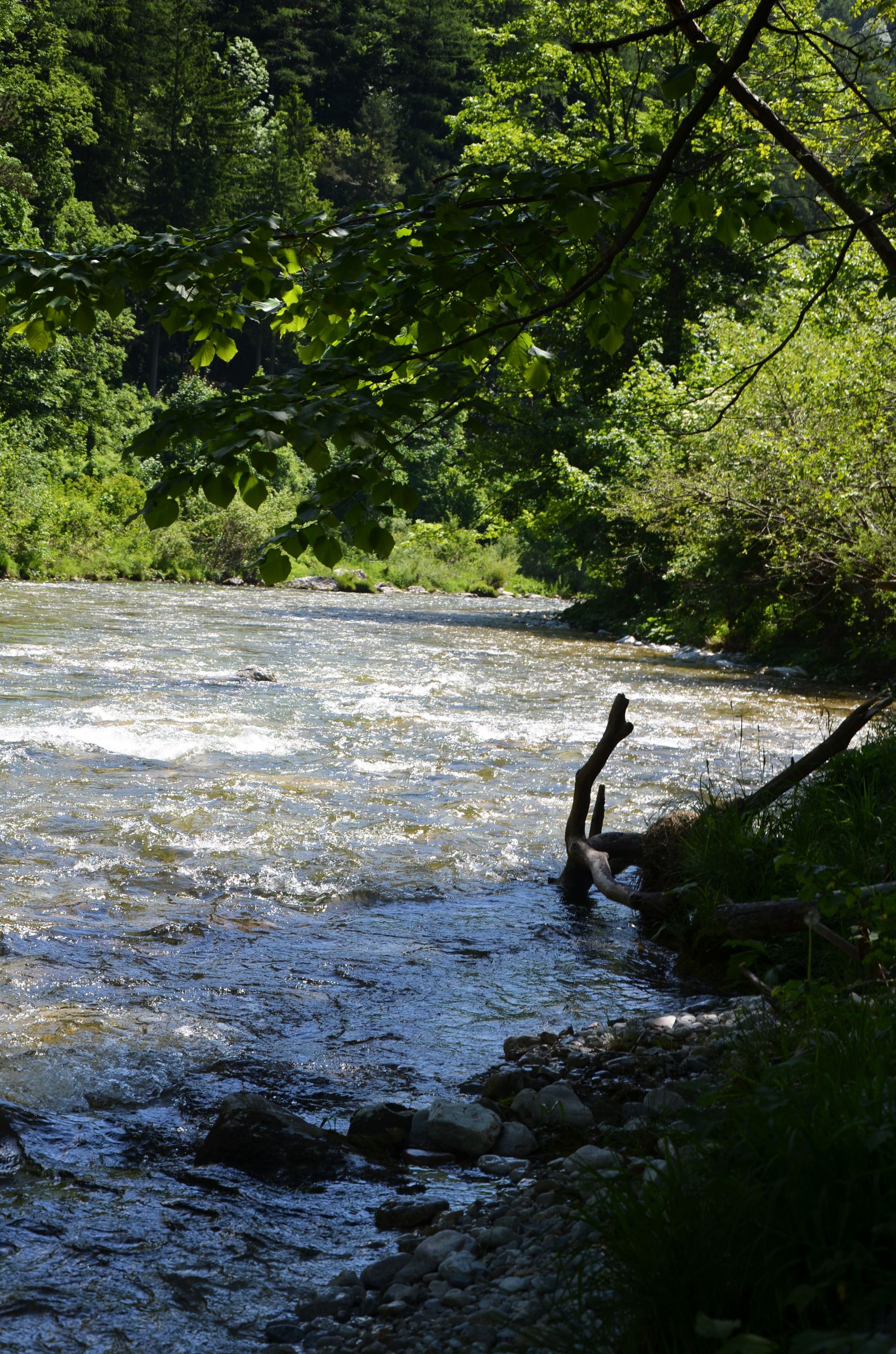 DSC_0953.jpg