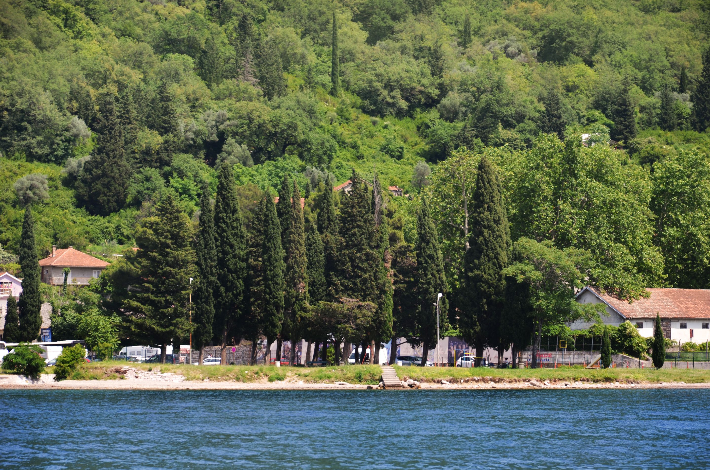 DSC_1038.jpg