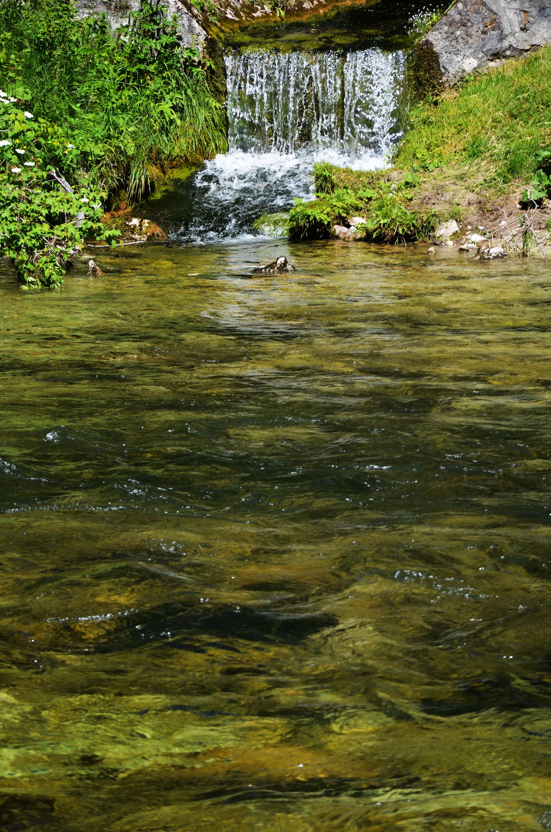 DSC_0947.jpg