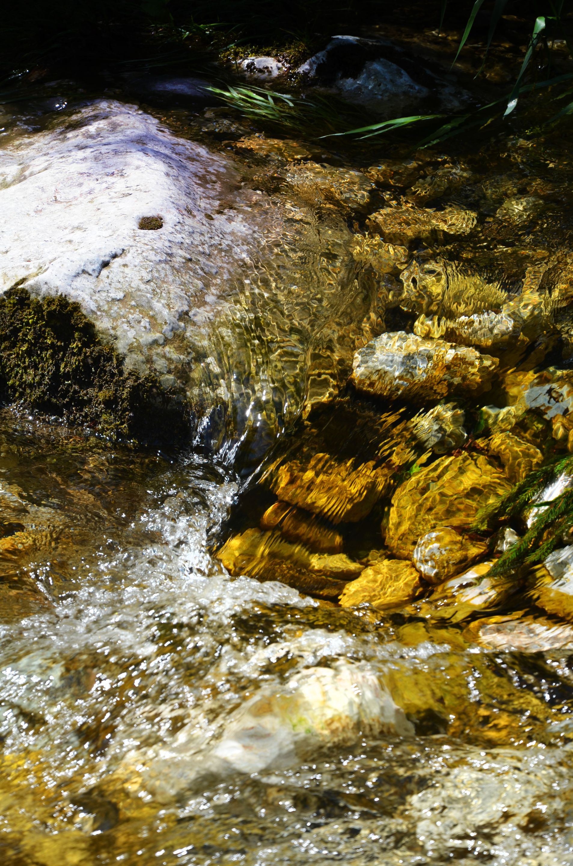 DSC_0935.jpg