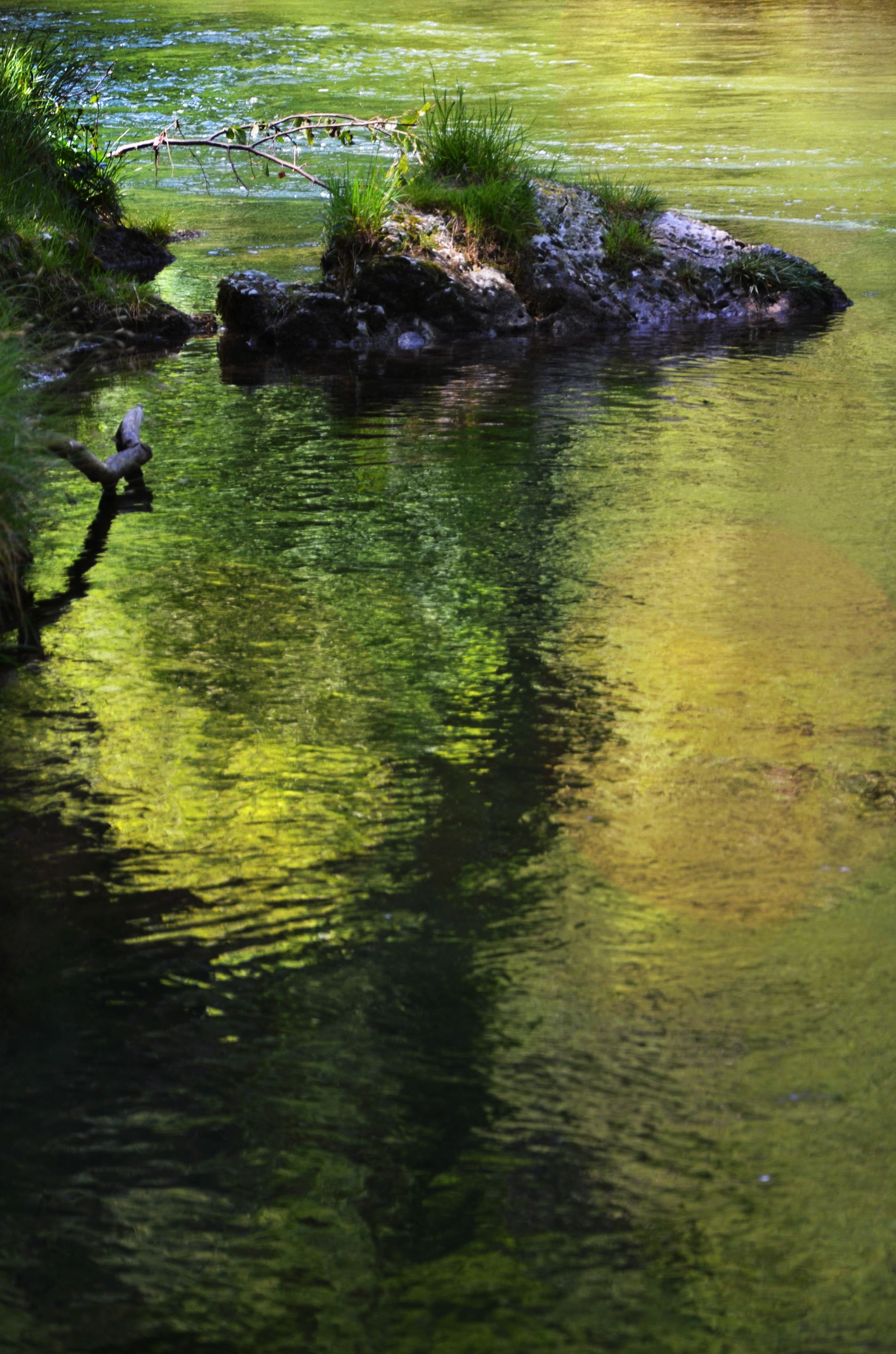 DSC_0931.jpg