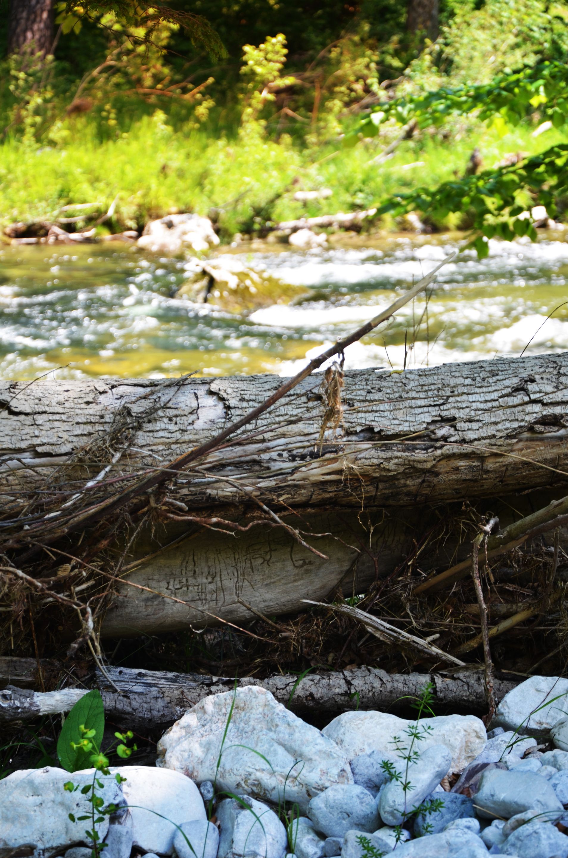DSC_0944.jpg