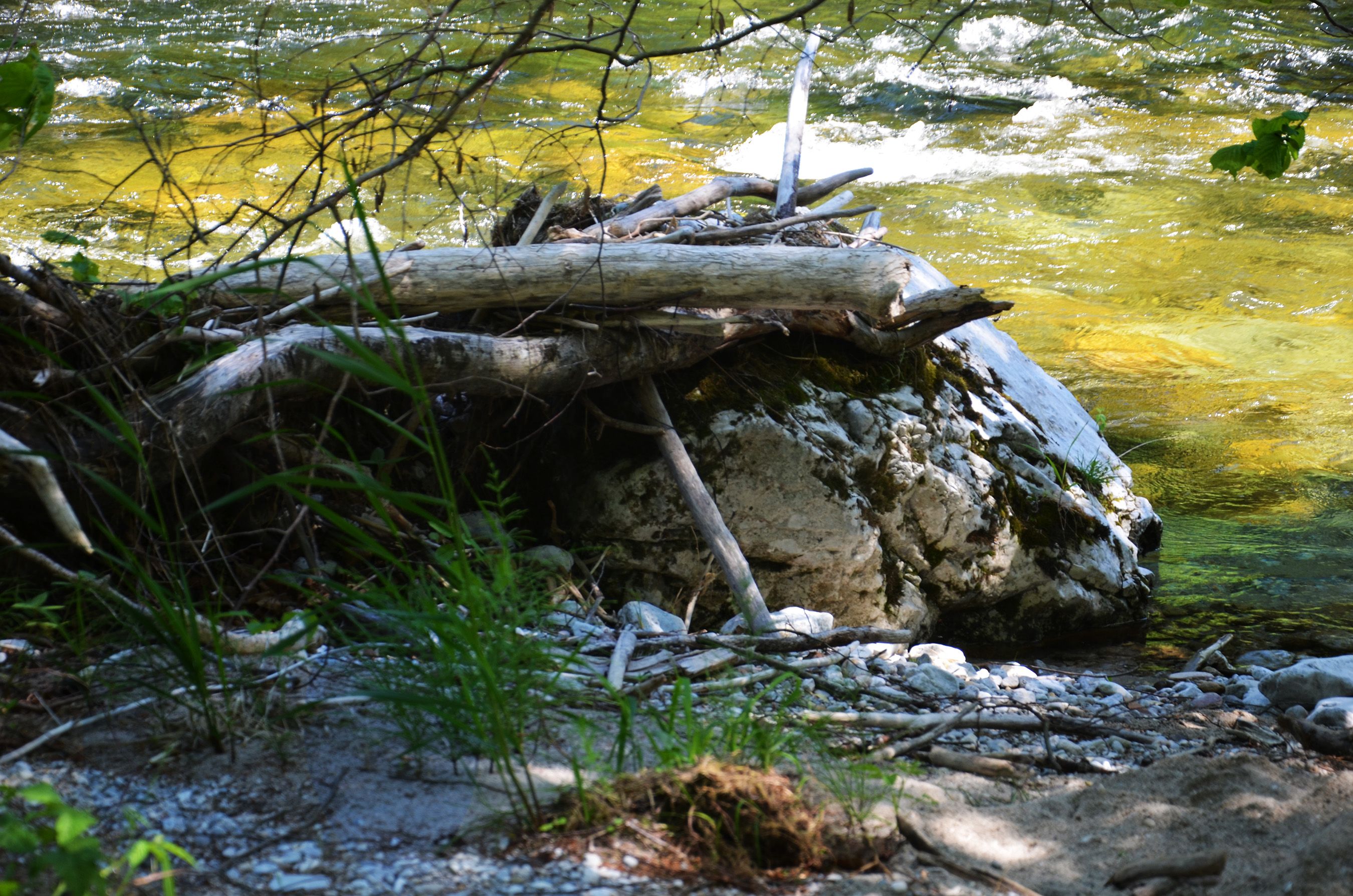 DSC_0945.jpg