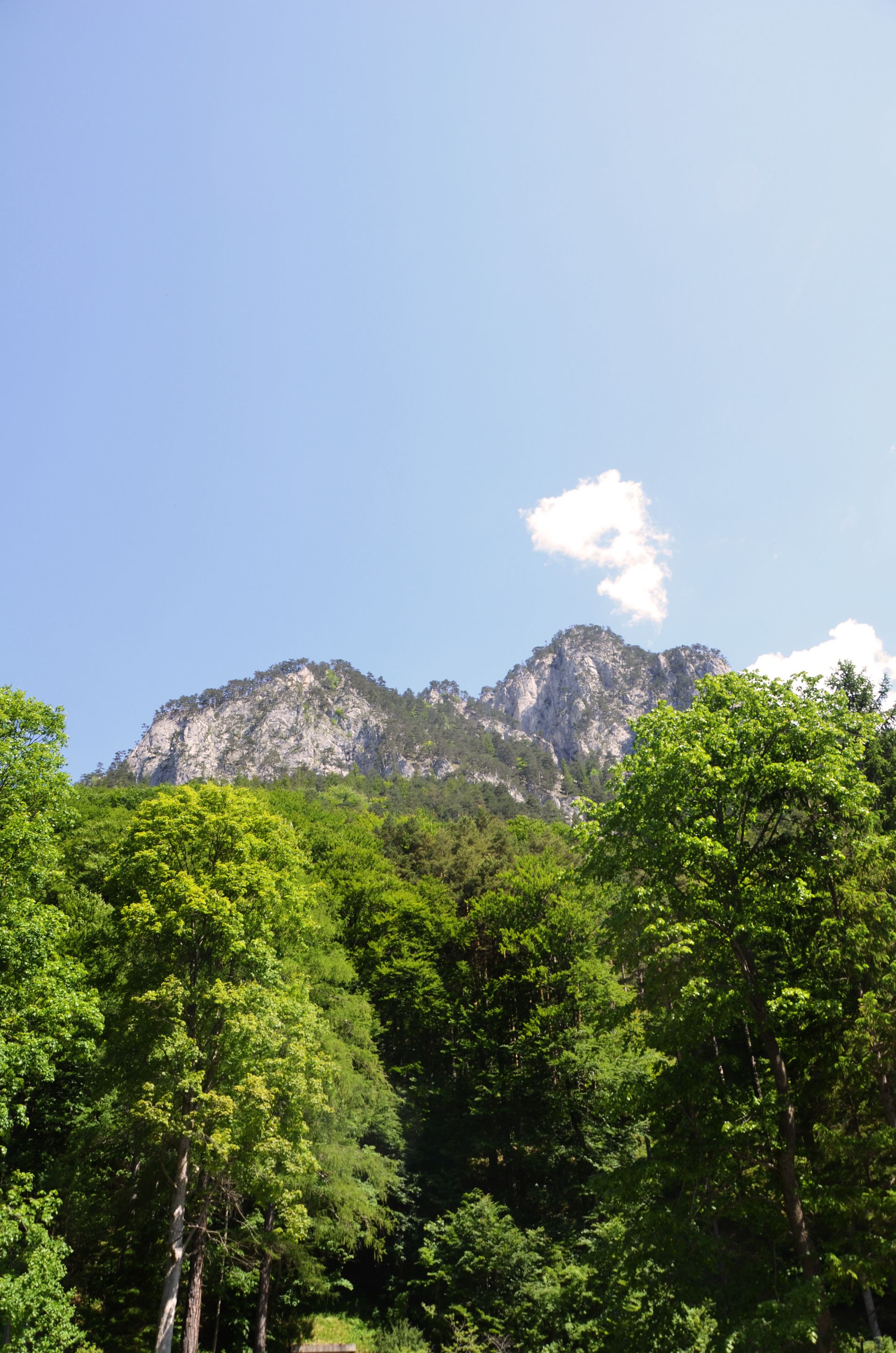 DSC_0929.jpg