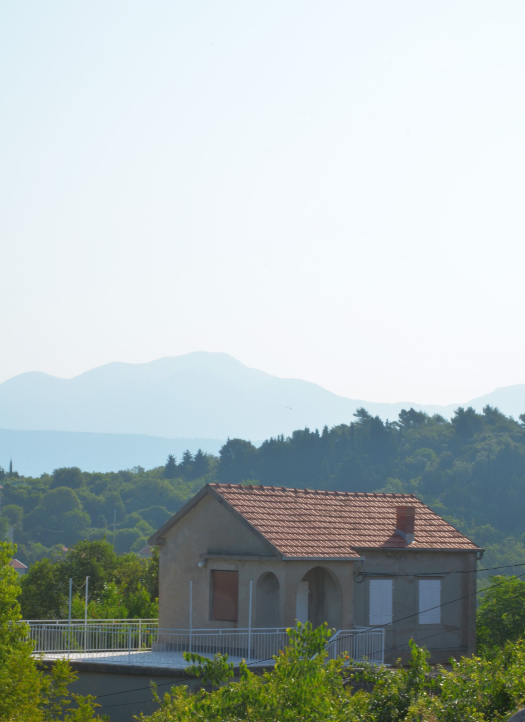 DSC_1067.jpg
