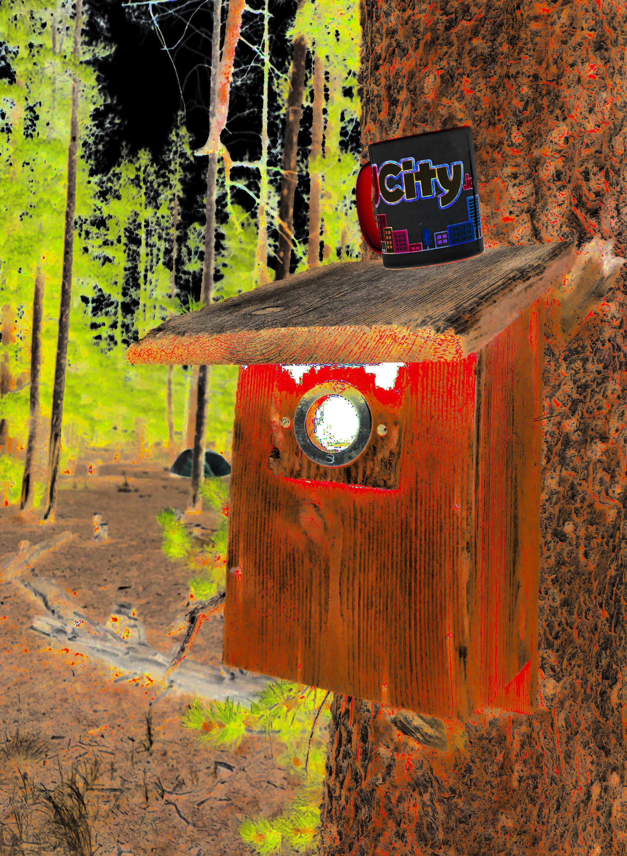 birdhouse.jpeg