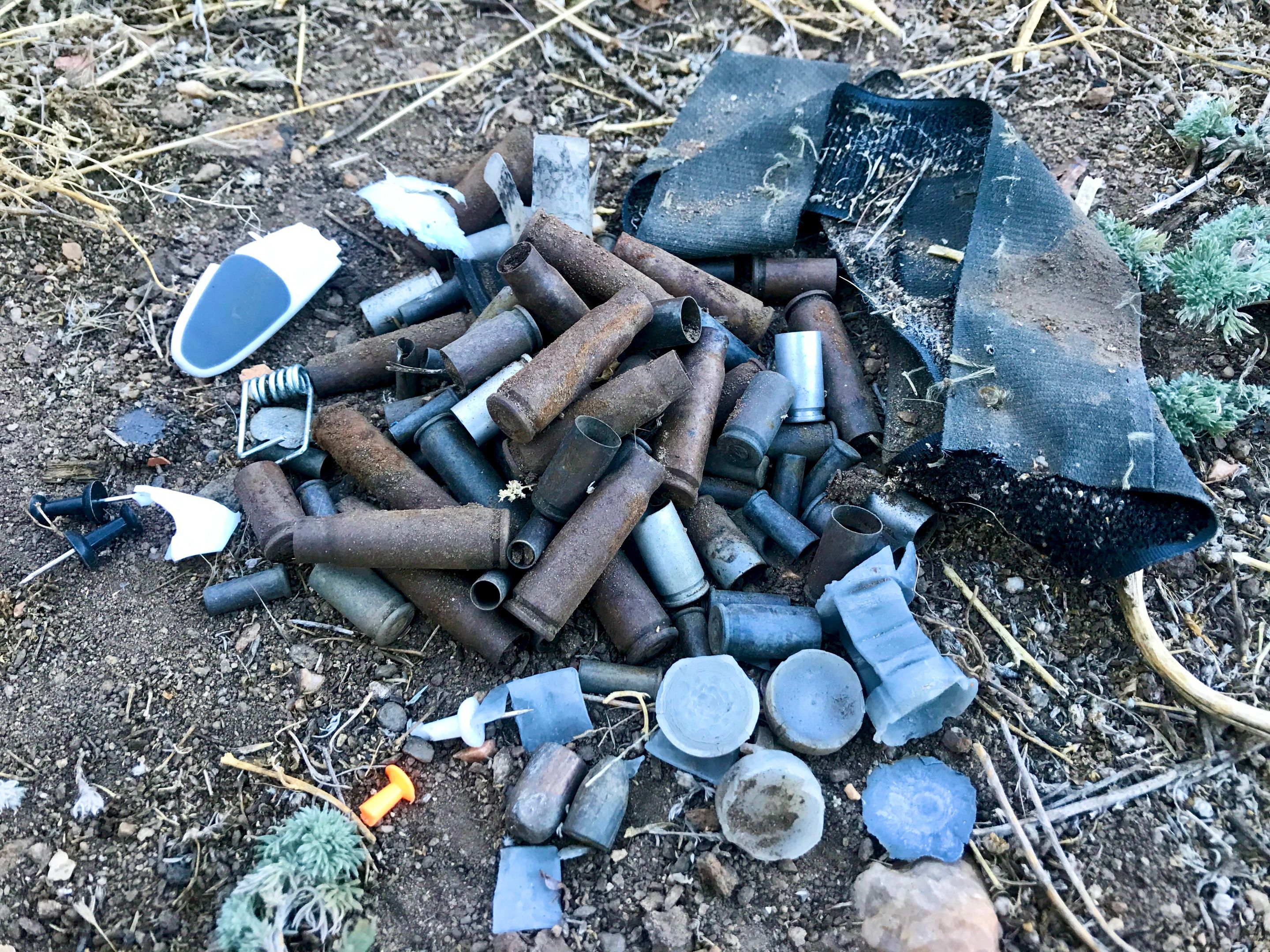 tent haul.jpeg
