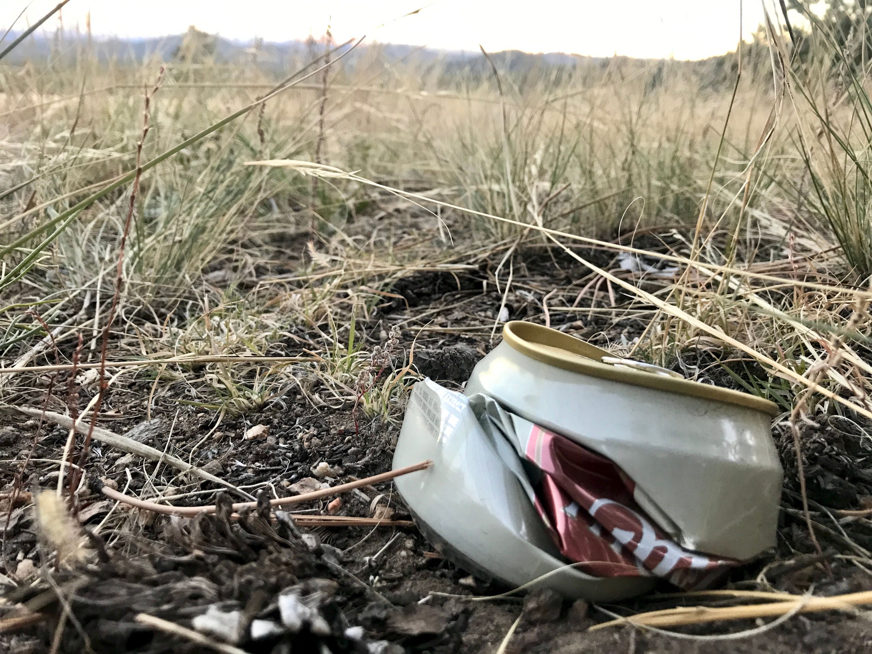 beer can.jpeg