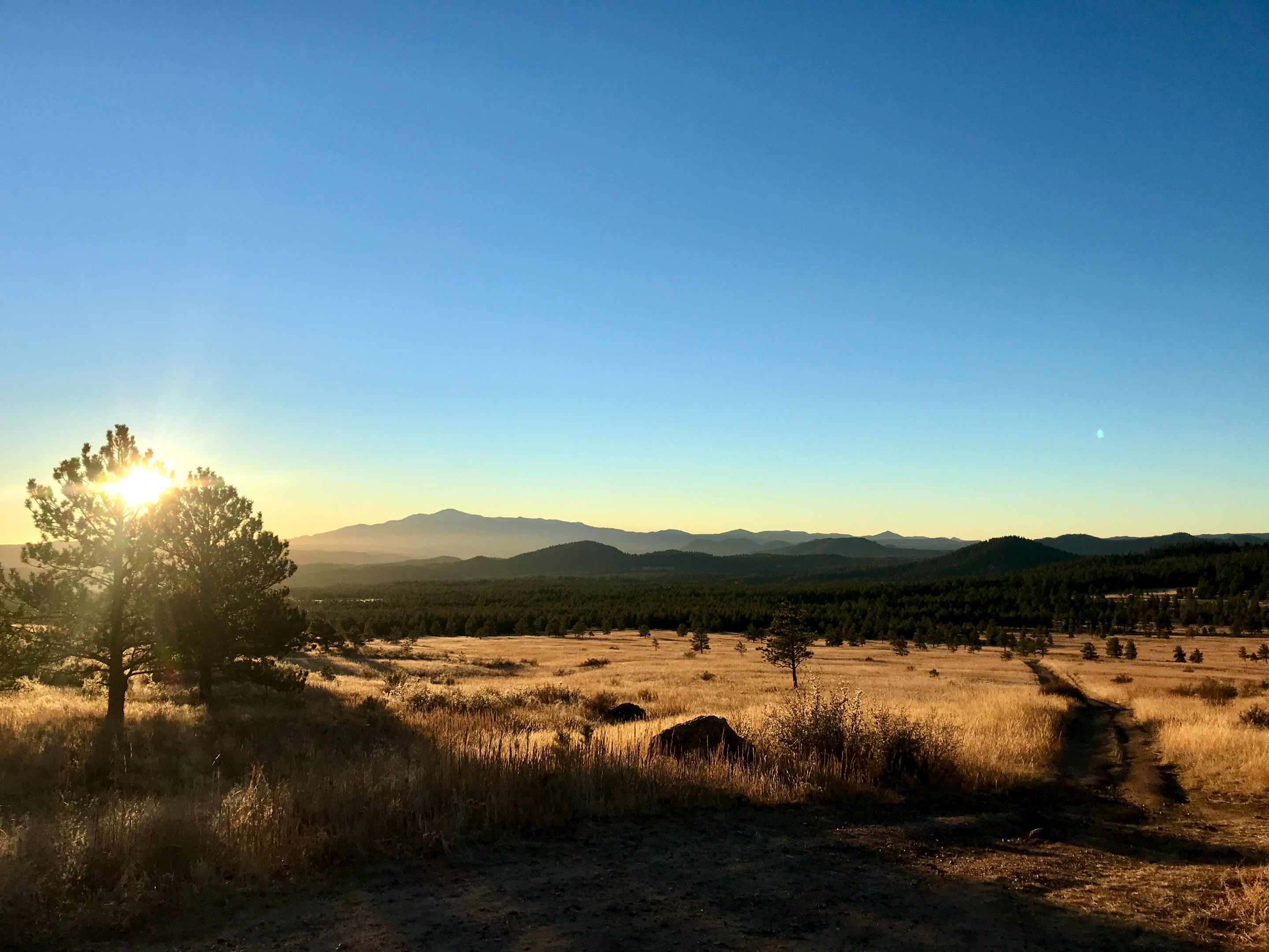 sunset.jpeg