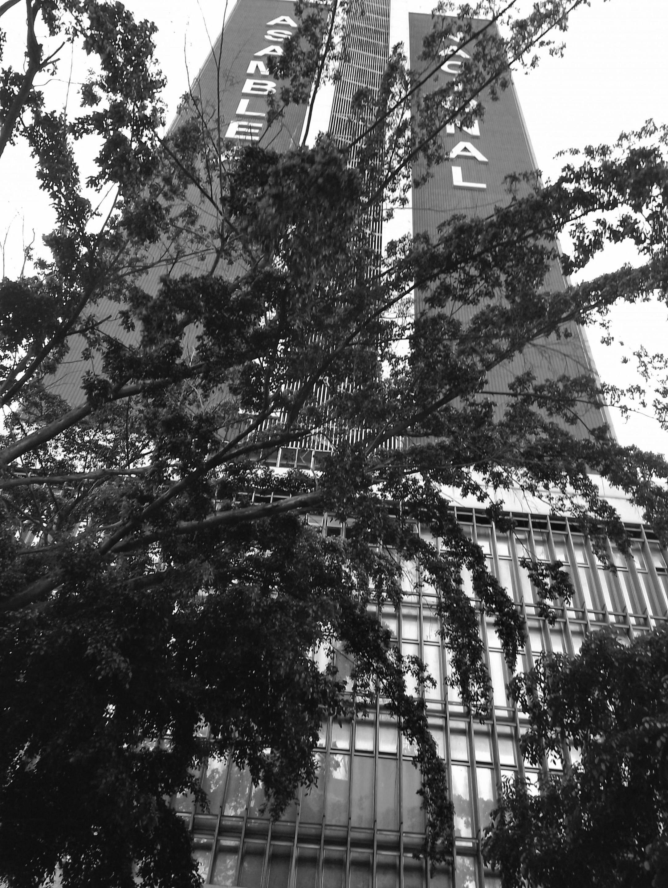 IMG_20250416_181630~2.jpg