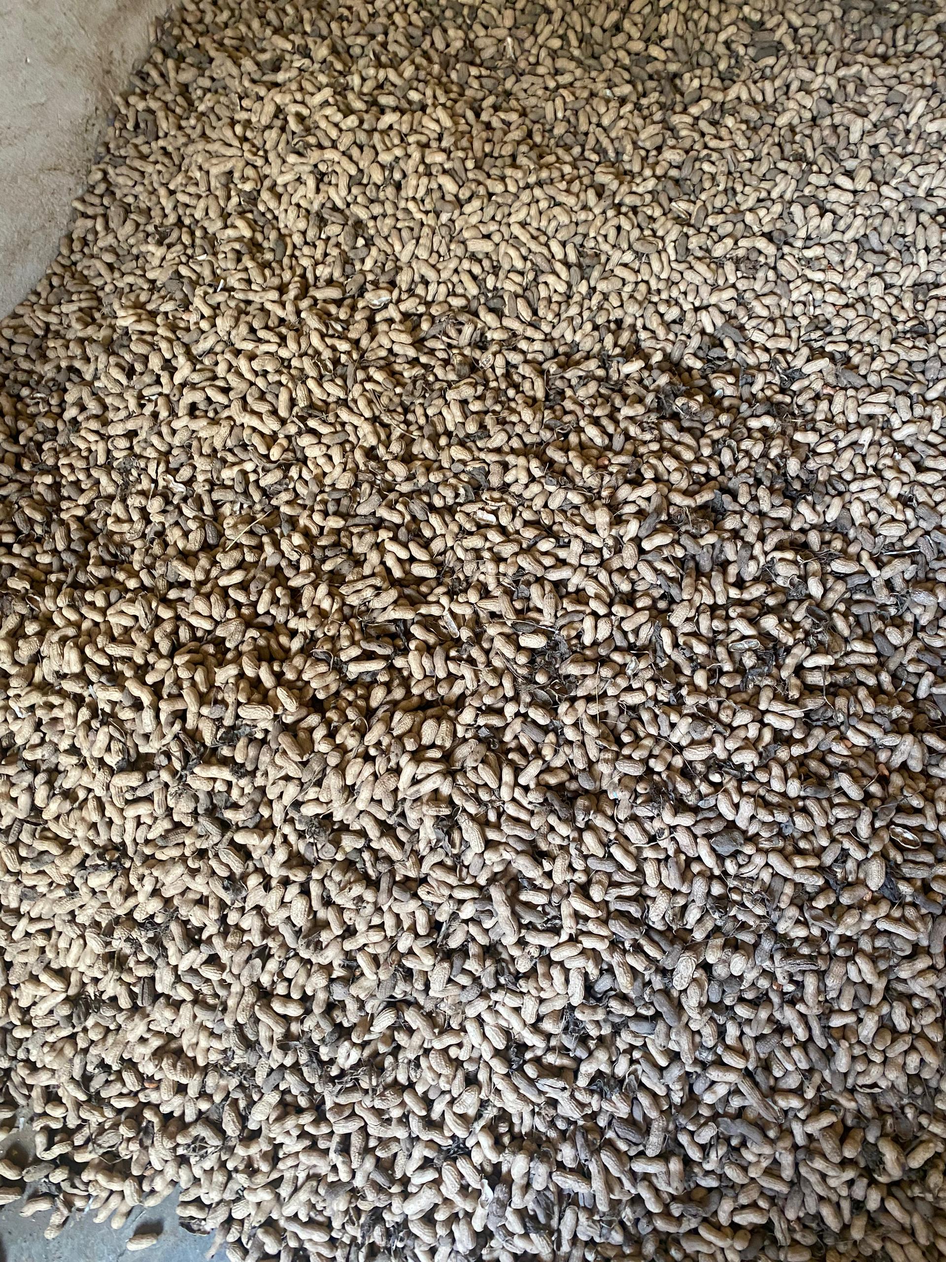 1000987947.jpg