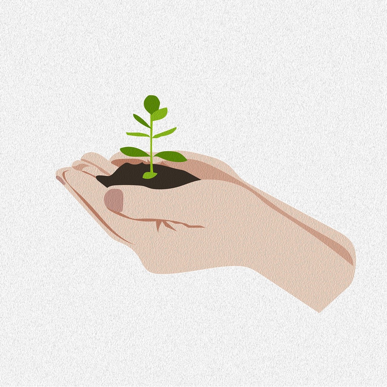 grow-9524787_1280.jpg