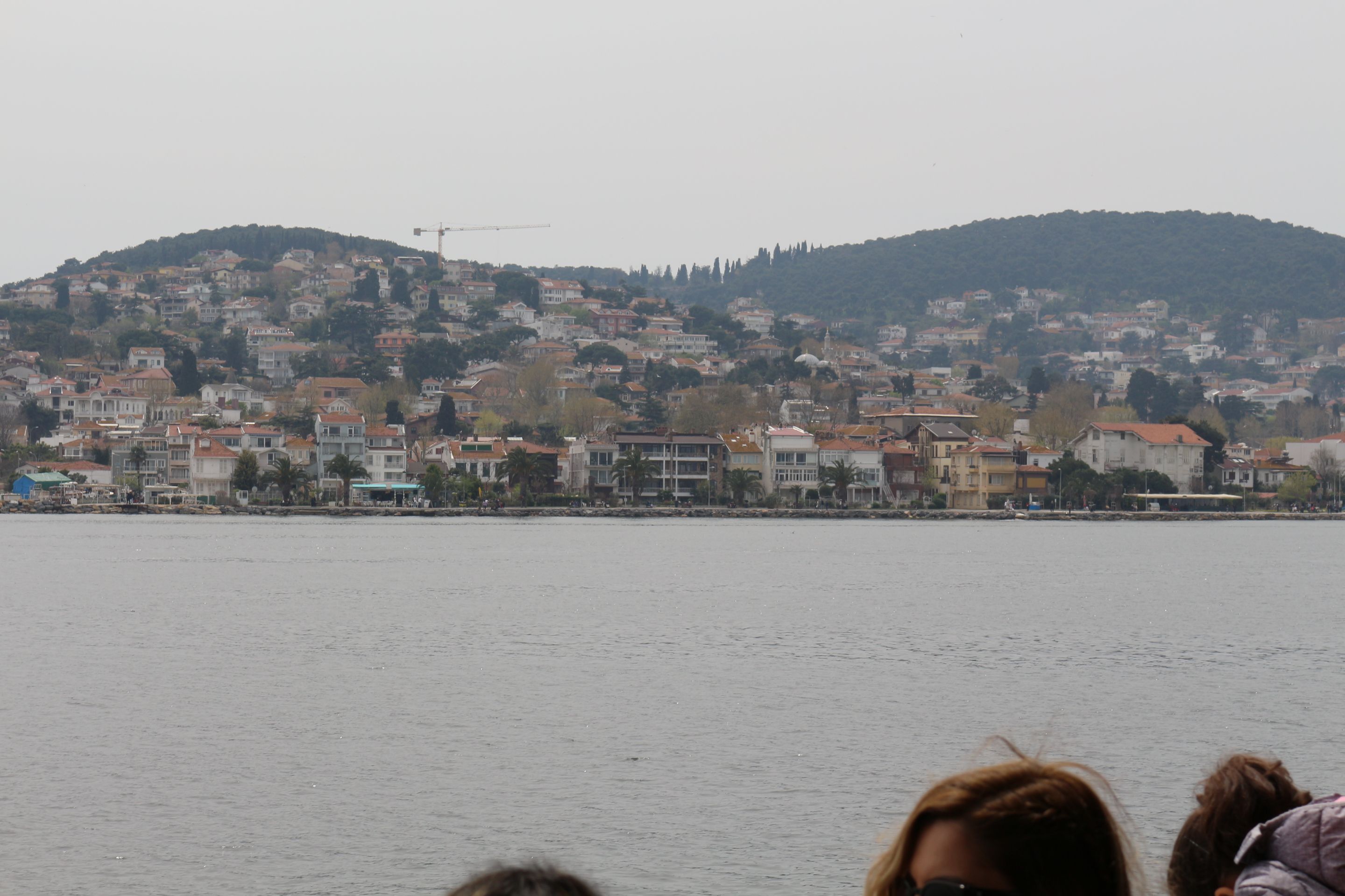 IMG_9824.JPG