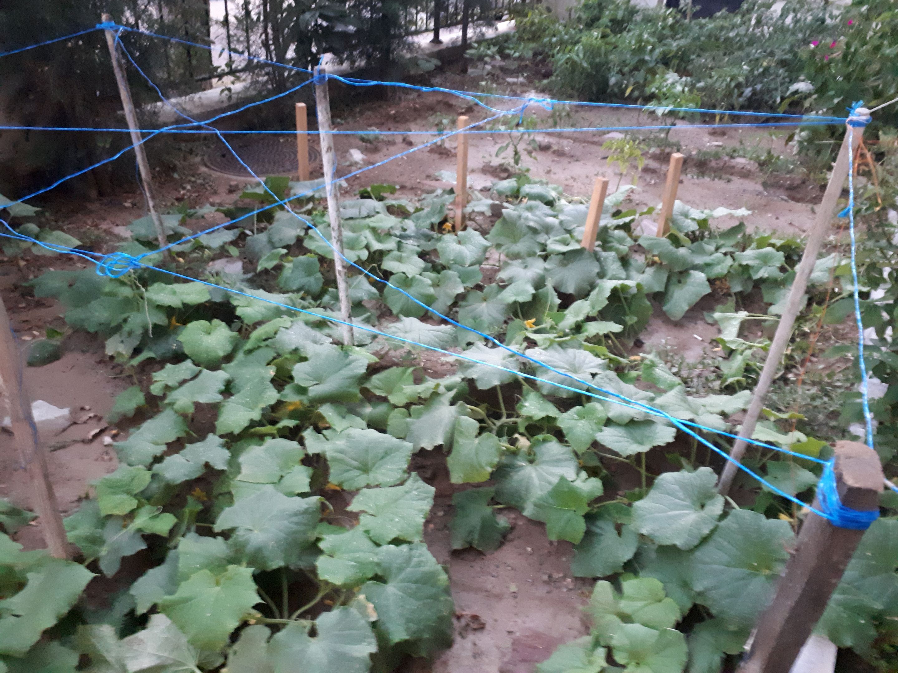 20220726_201439.jpg