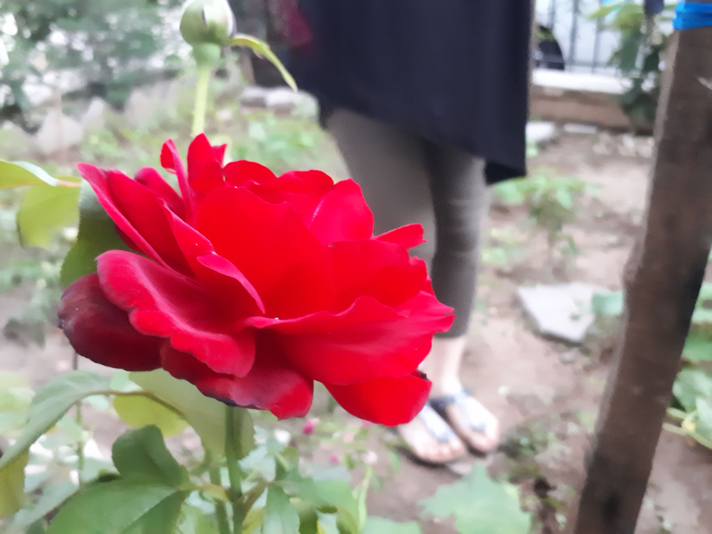 20220726_201325.jpg