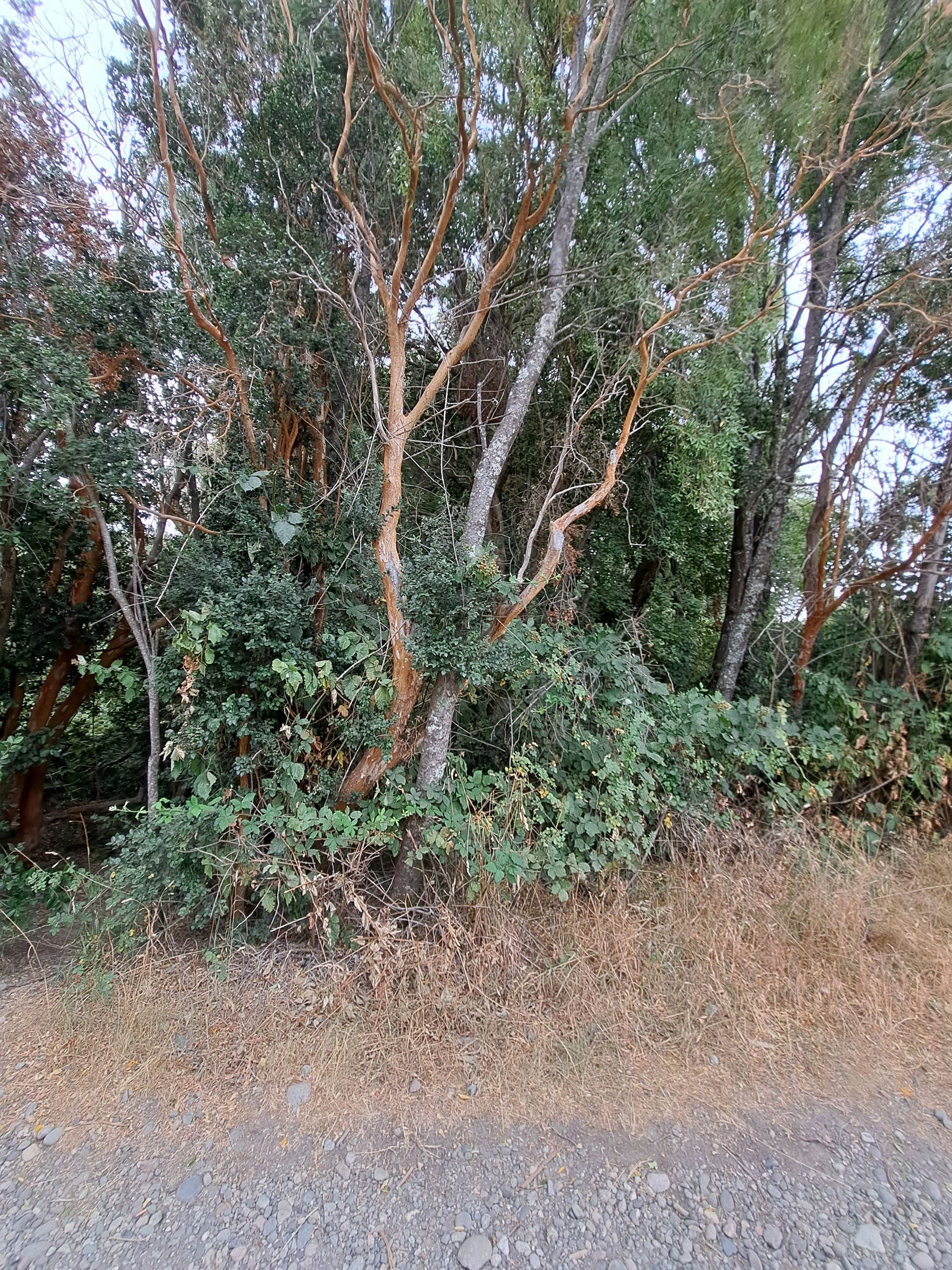 20240220_191340.jpg