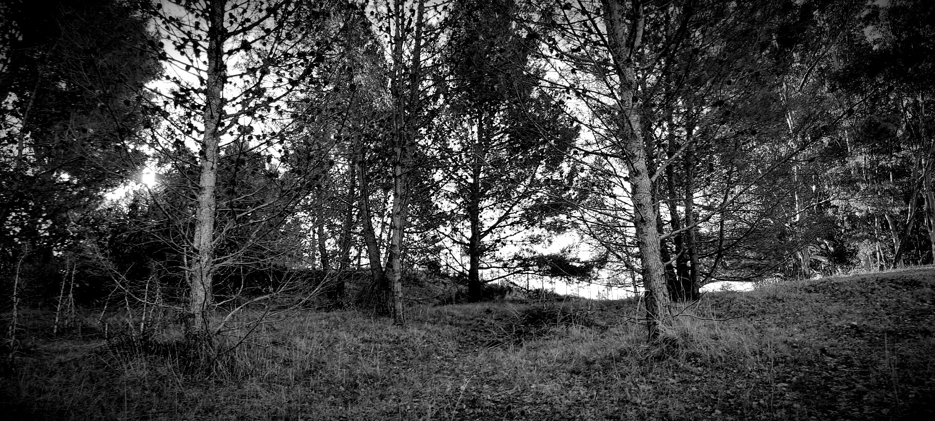 20210704_160654.jpg