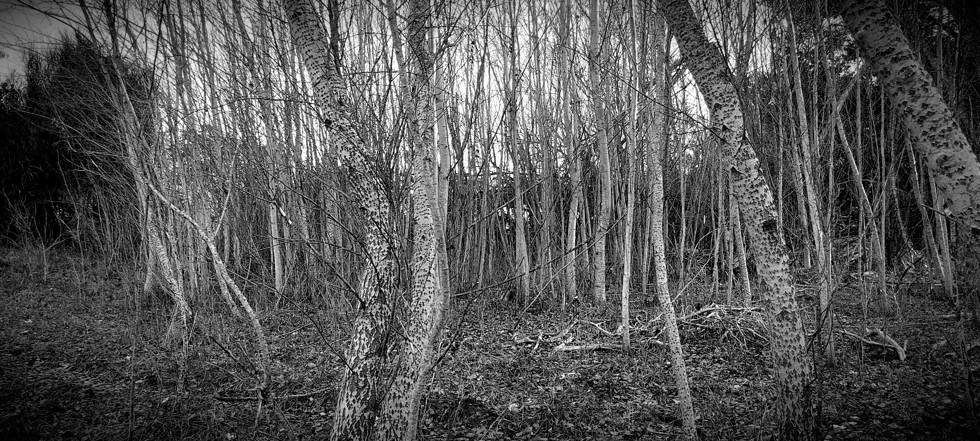 20210704_160849.jpg