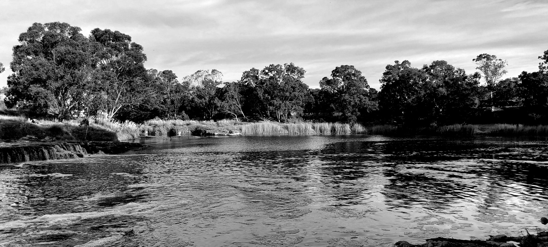 20210704_155121.jpg