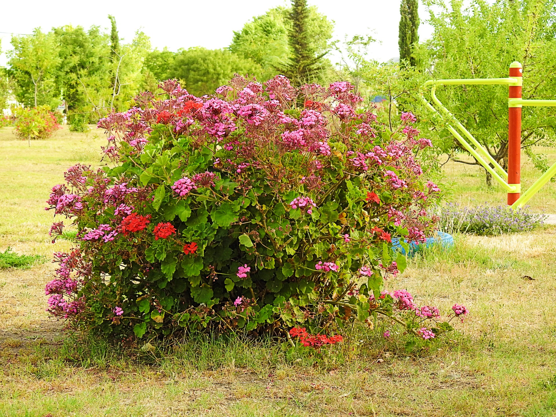 DSCN1501.jpg