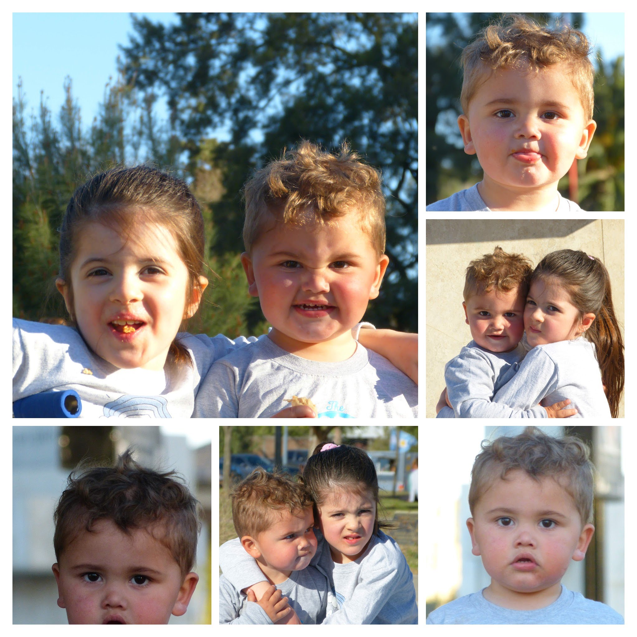 P1370218COLLAGE.jpg