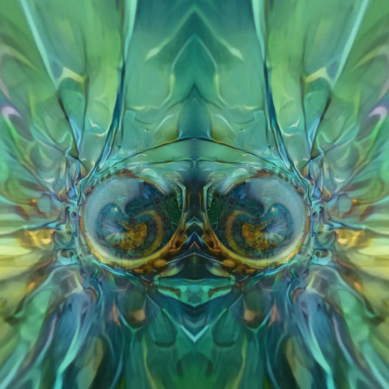 Cyber_Ant_Step3.png