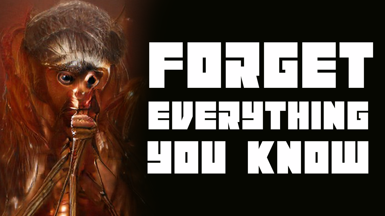 Forget_Everything_You_Know.png