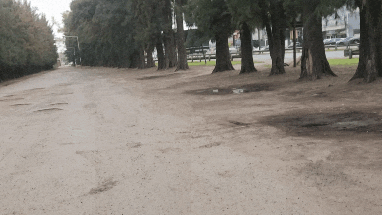 Diseño sin título (11).gif