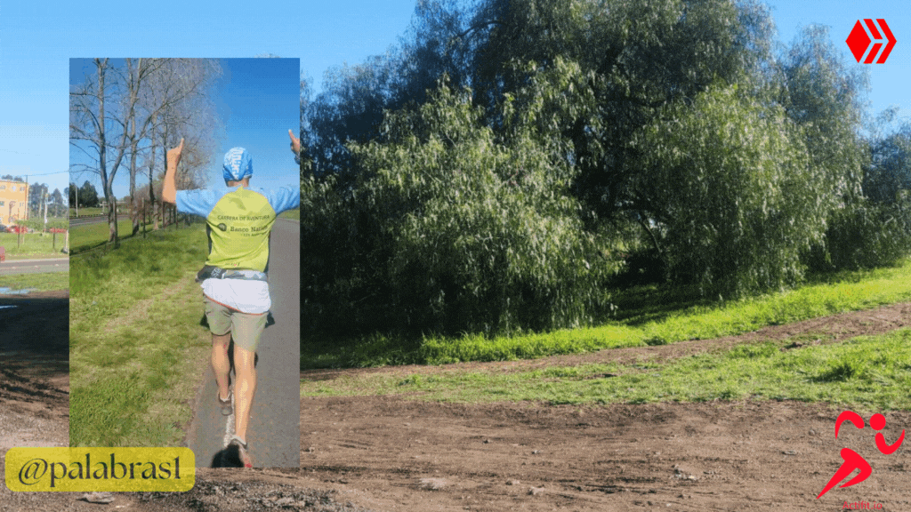@palabras1.gif