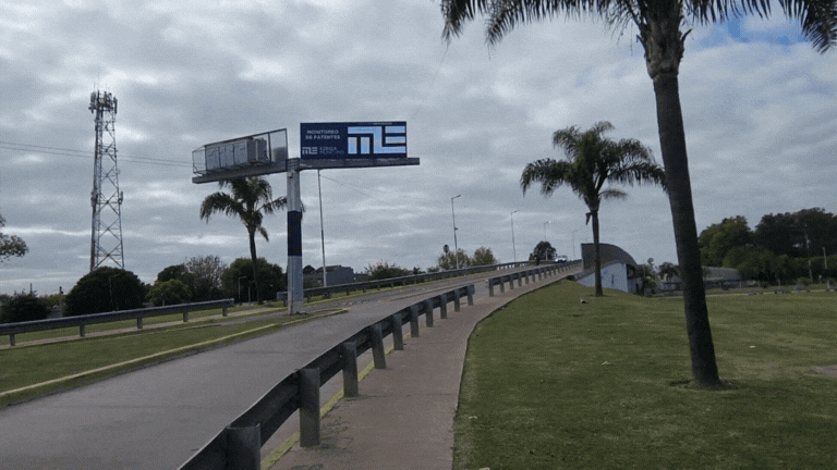 Diseño sin título (3).gif