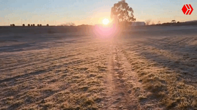Gif 6.gif