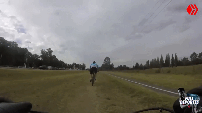 4.gif