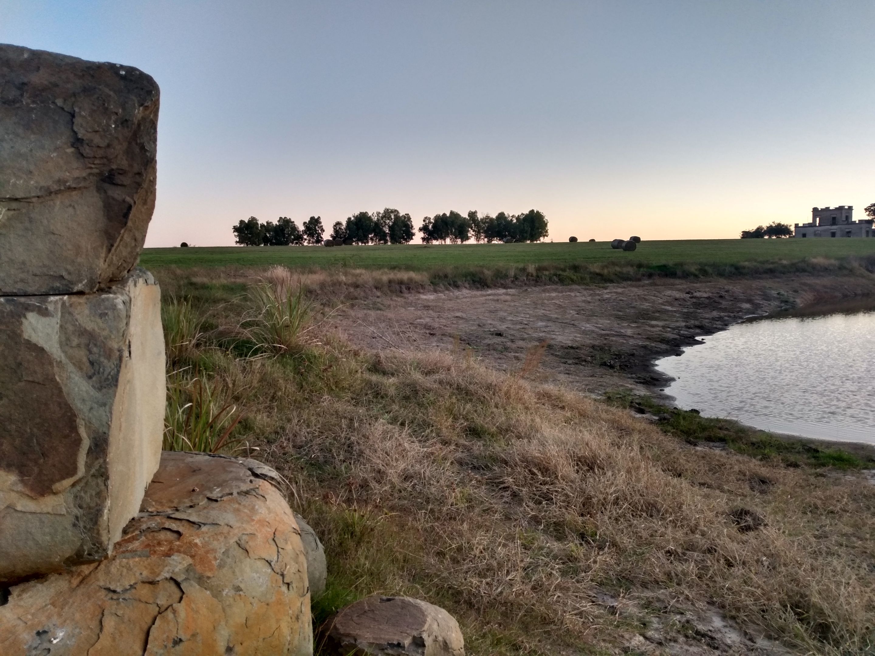 IMG_20230611_174259414_HDR.jpg