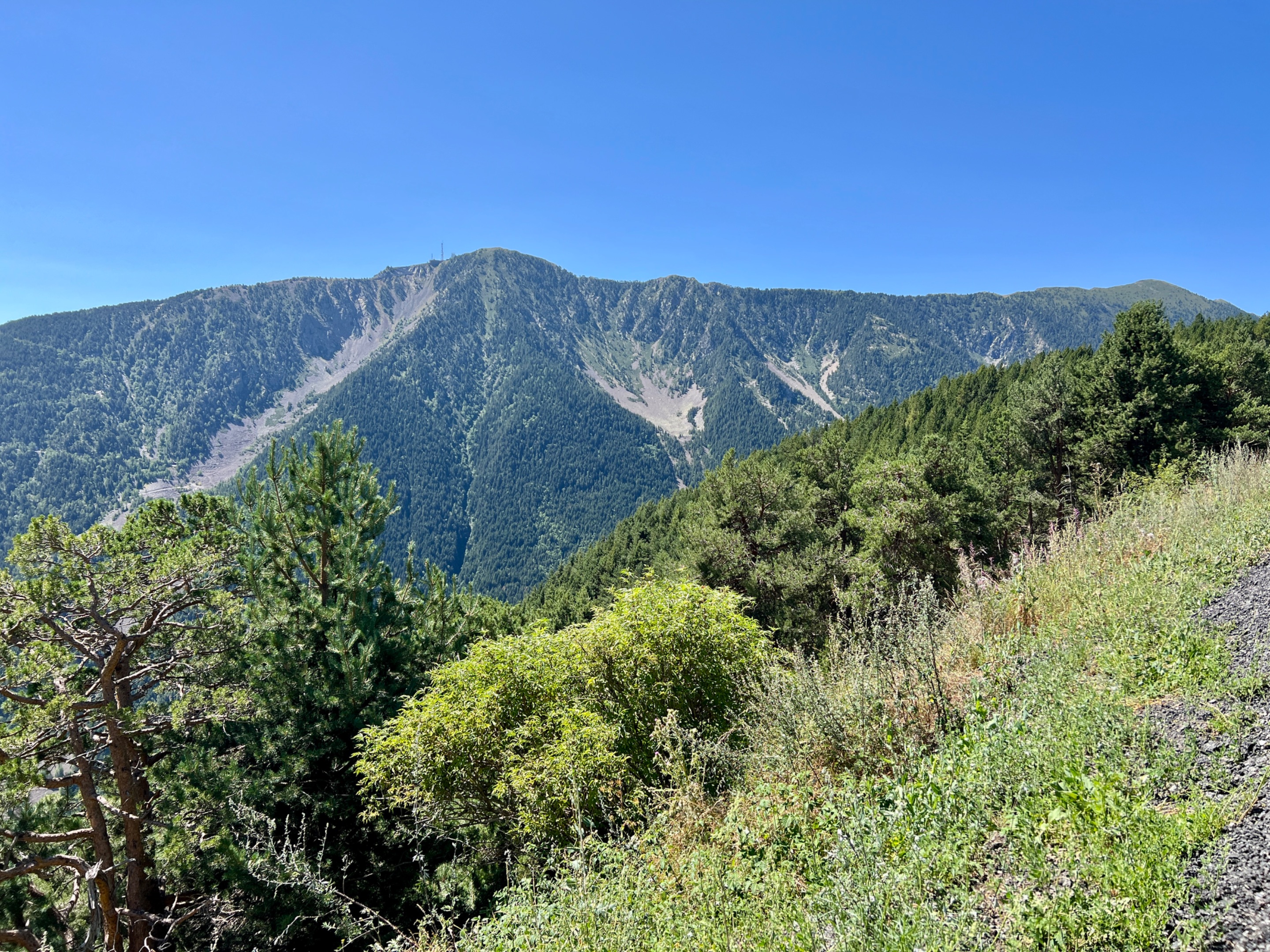 IMG_7087.JPG